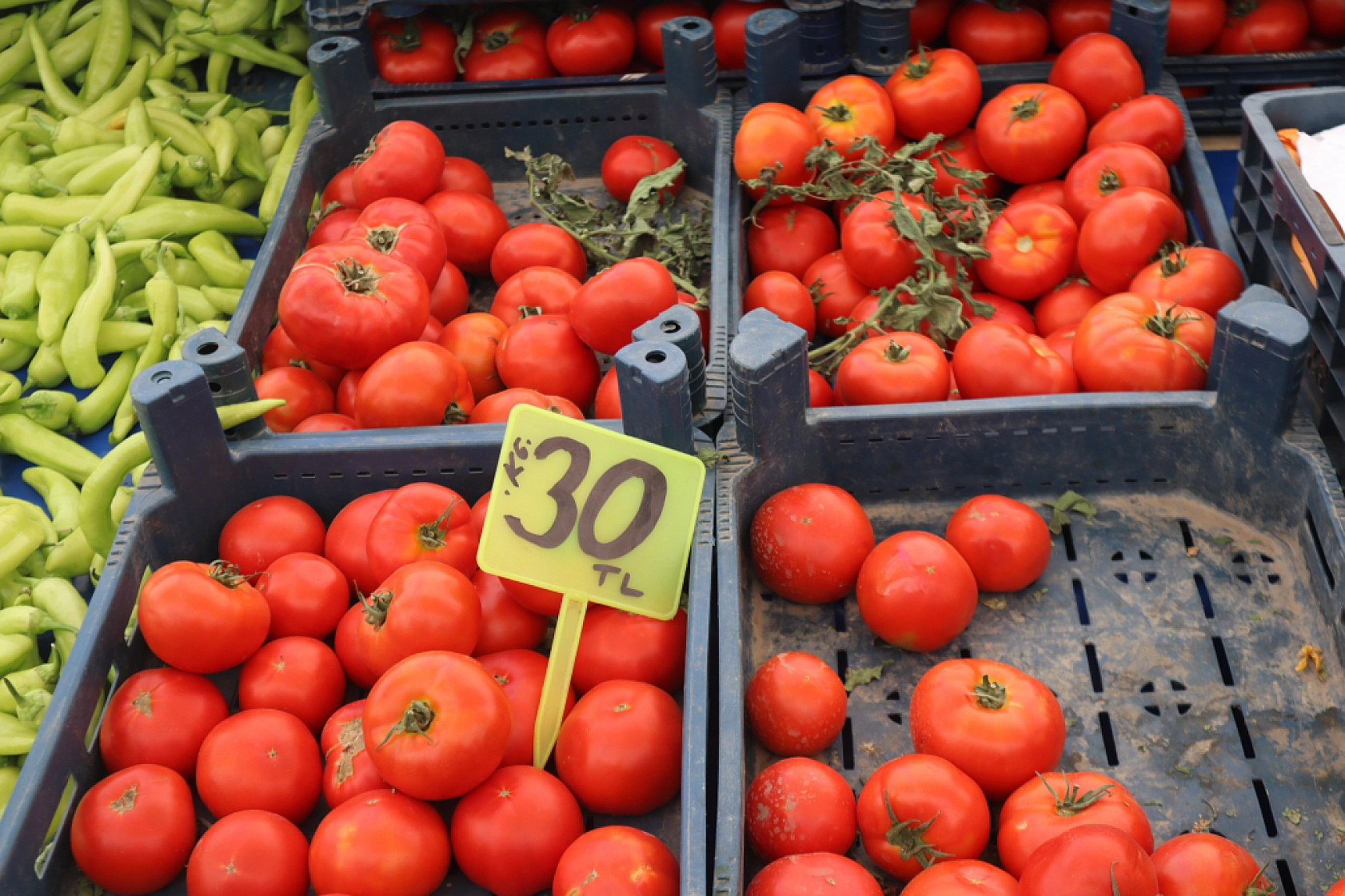 Malatya'da pazar tezgahlarında fiyat tersine döndü: Domates 30 lira, kiraz 250 lira!