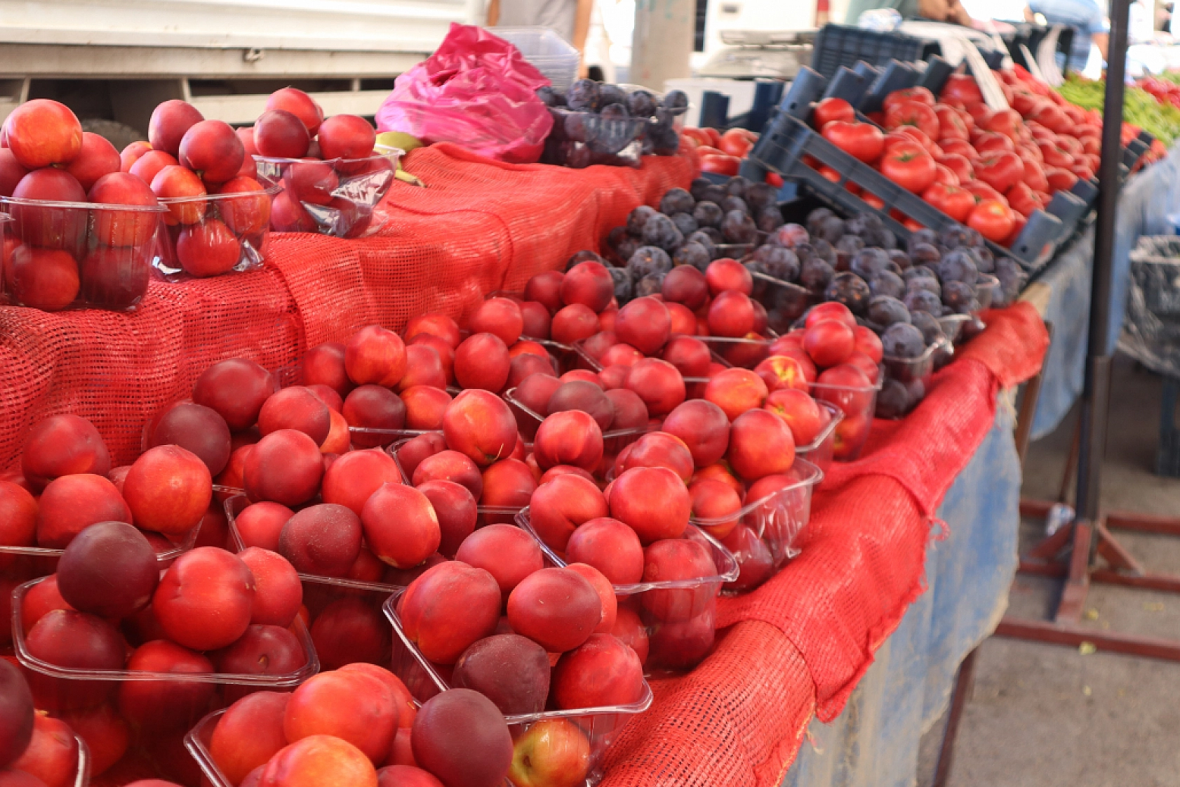 Malatya'da pazar tezgahlarında fiyat tersine döndü: Domates 30 lira, kiraz 250 lira!