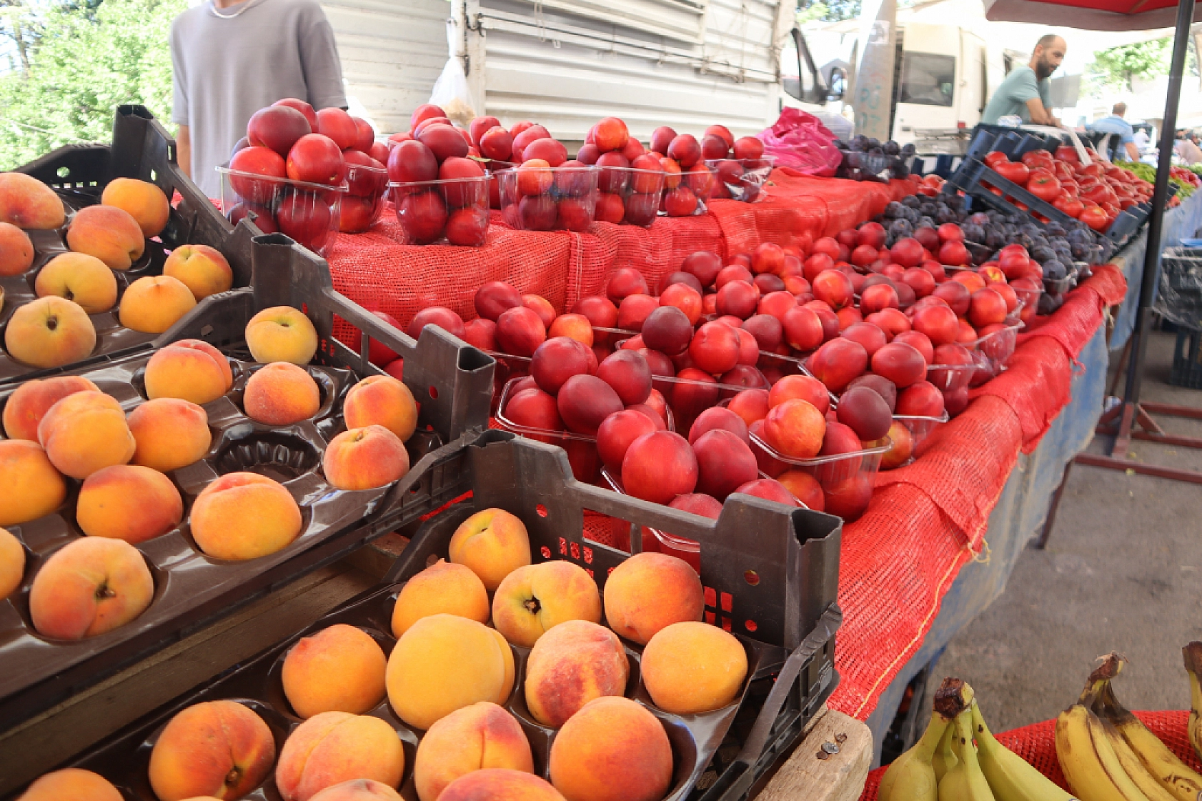 Malatya'da pazar tezgahlarında fiyat tersine döndü: Domates 30 lira, kiraz 250 lira!