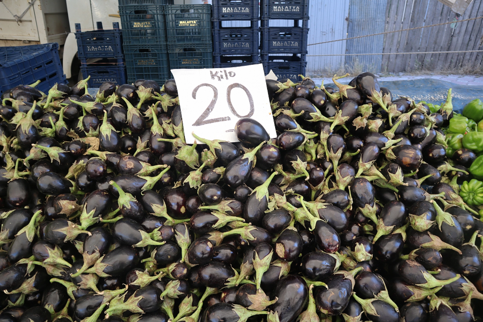 Malatya'da pazar tezgahlarında fiyat tersine döndü: Domates 30 lira, kiraz 250 lira!