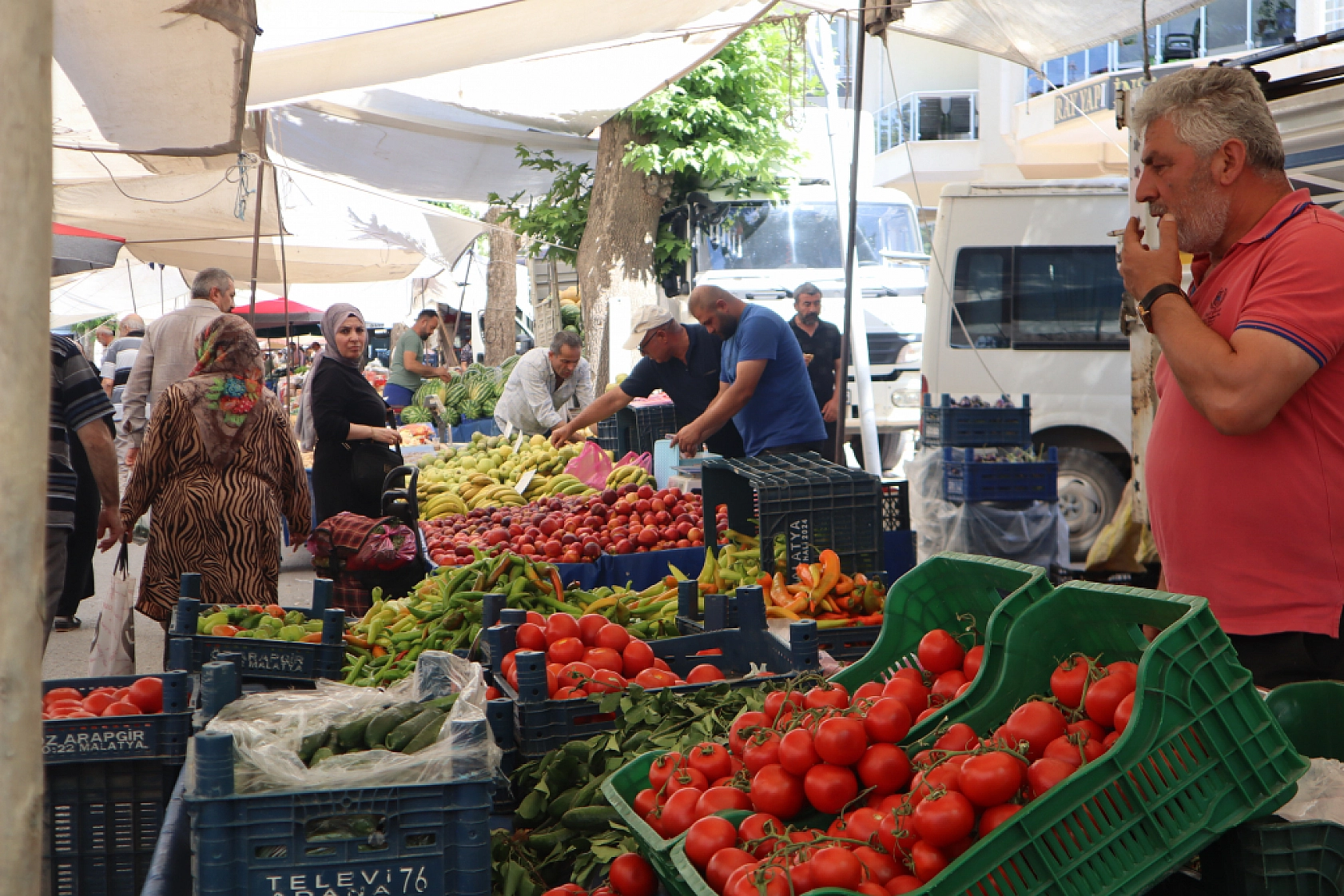 Malatya'da pazar tezgahlarında fiyat tersine döndü: Domates 30 lira, kiraz 250 lira!