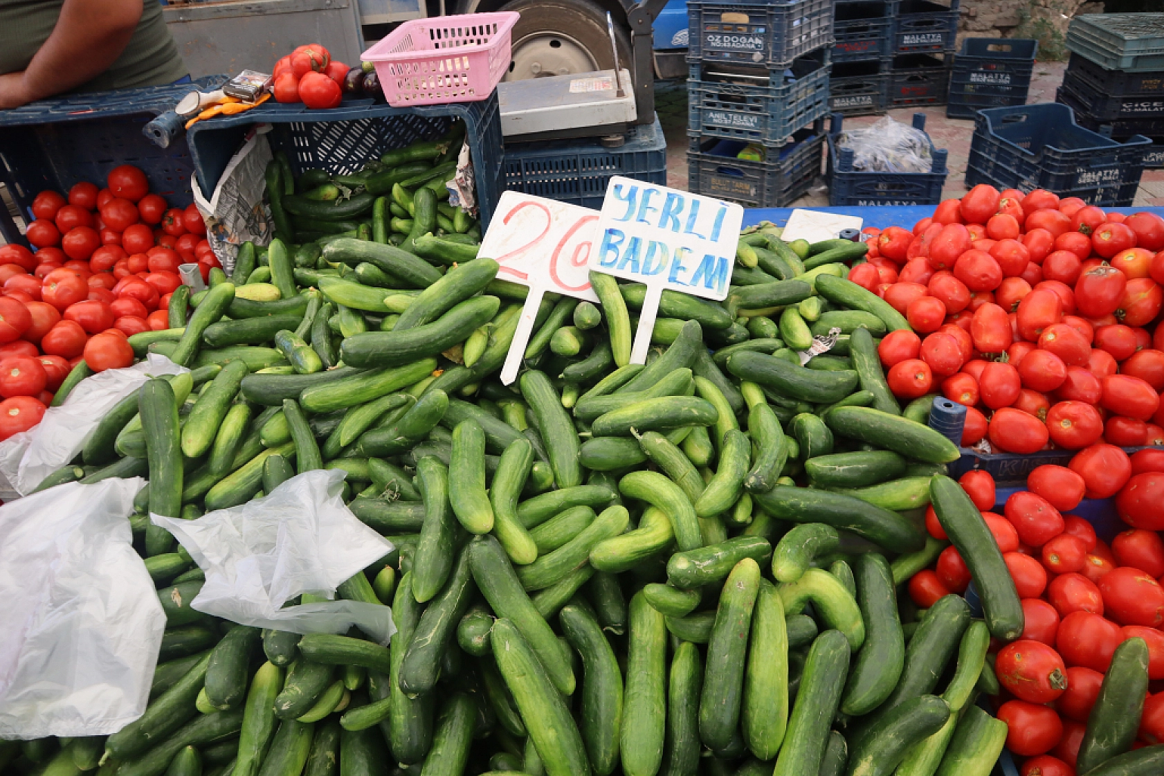 Malatya'da pazar tezgahlarında fiyat tersine döndü: Domates 30 lira, kiraz 250 lira!