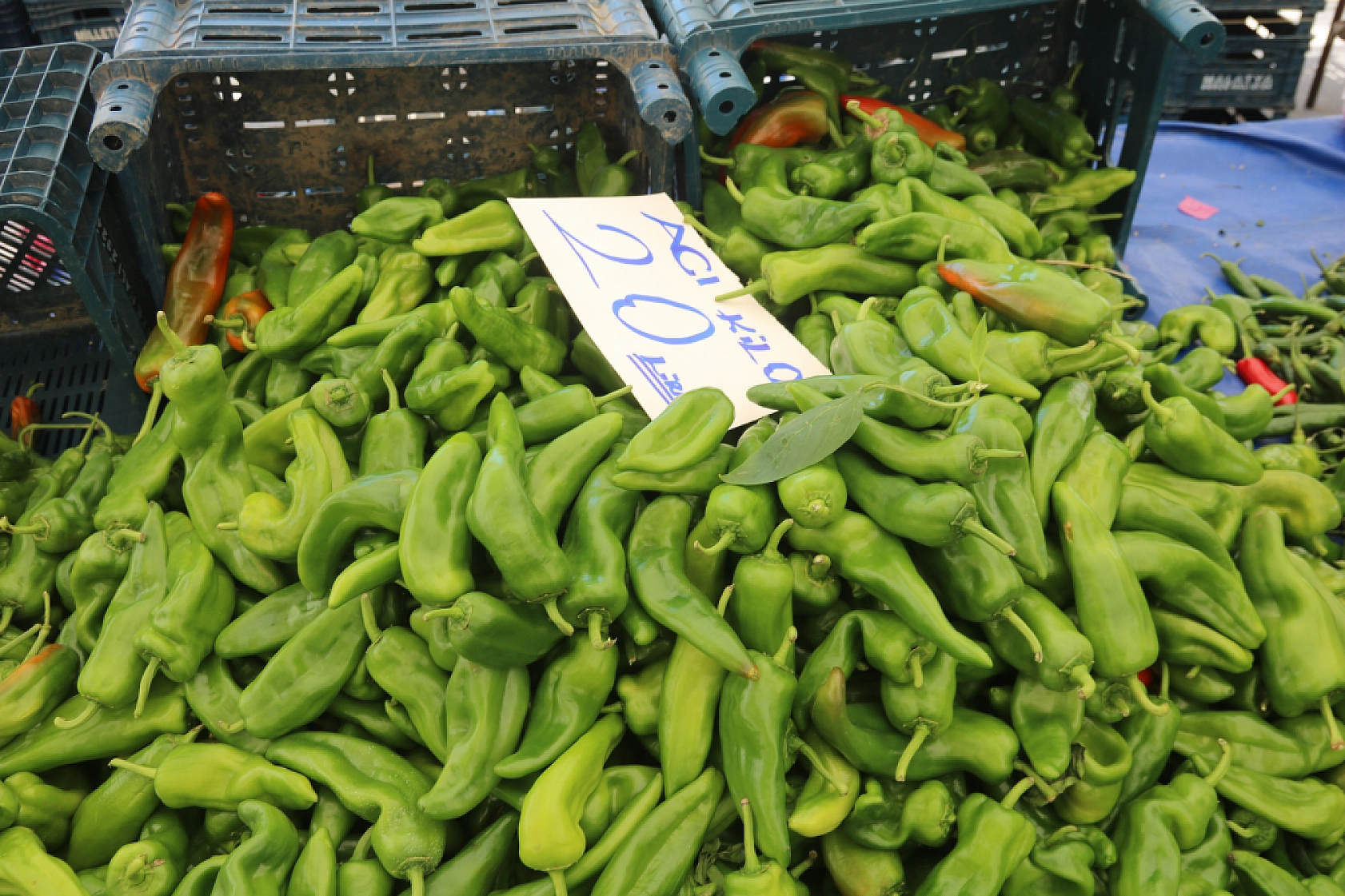 Malatya'da pazar, fiyatları düşüyor mu? İşte cuma fiyatlar...