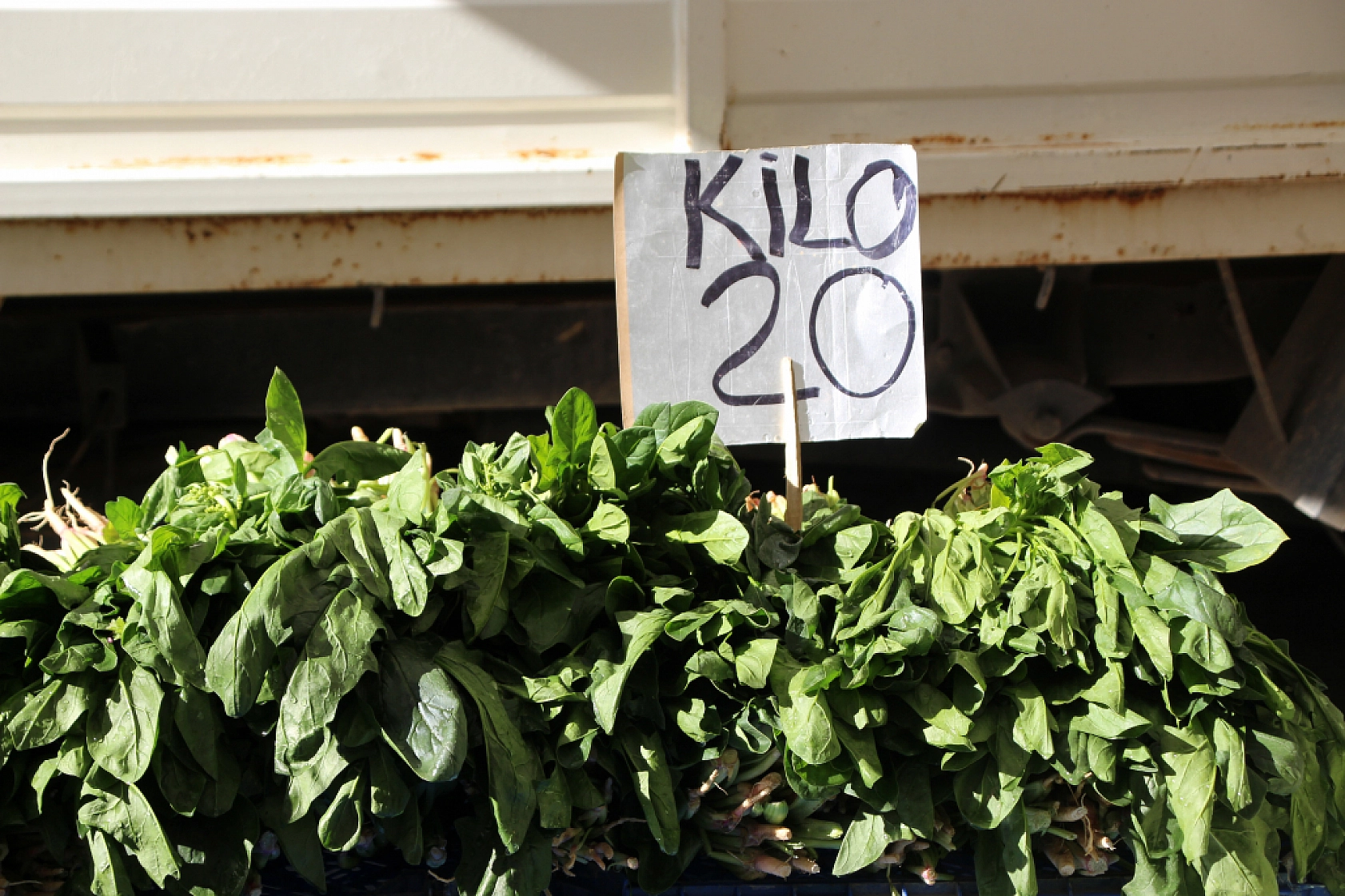 Malatya'da pazar, fiyatları düşüyor mu? İşte fiyatlar...