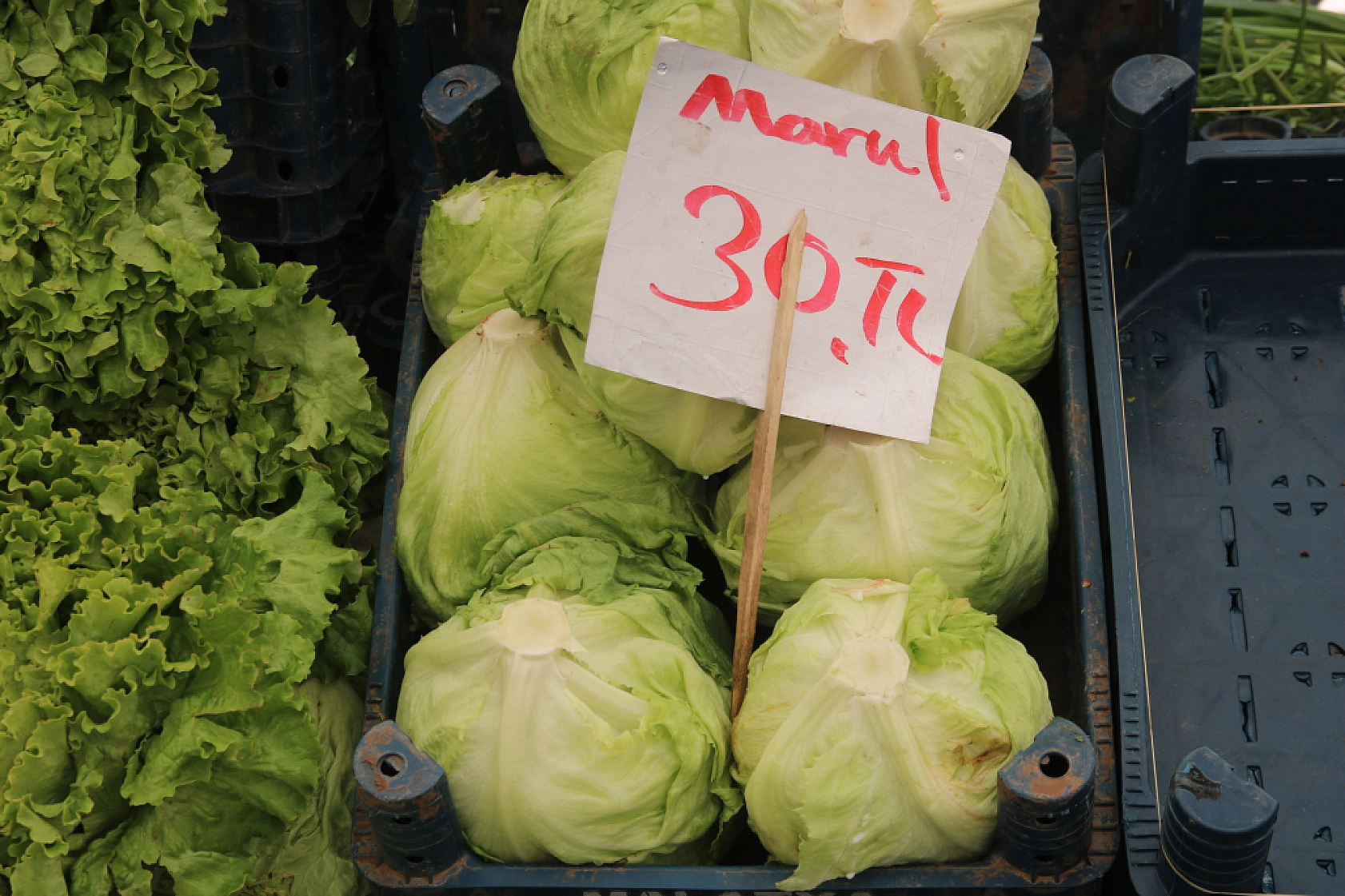 Malatya'da pazar, fiyatları düşüyor mu? İşte cuma fiyatlar...
