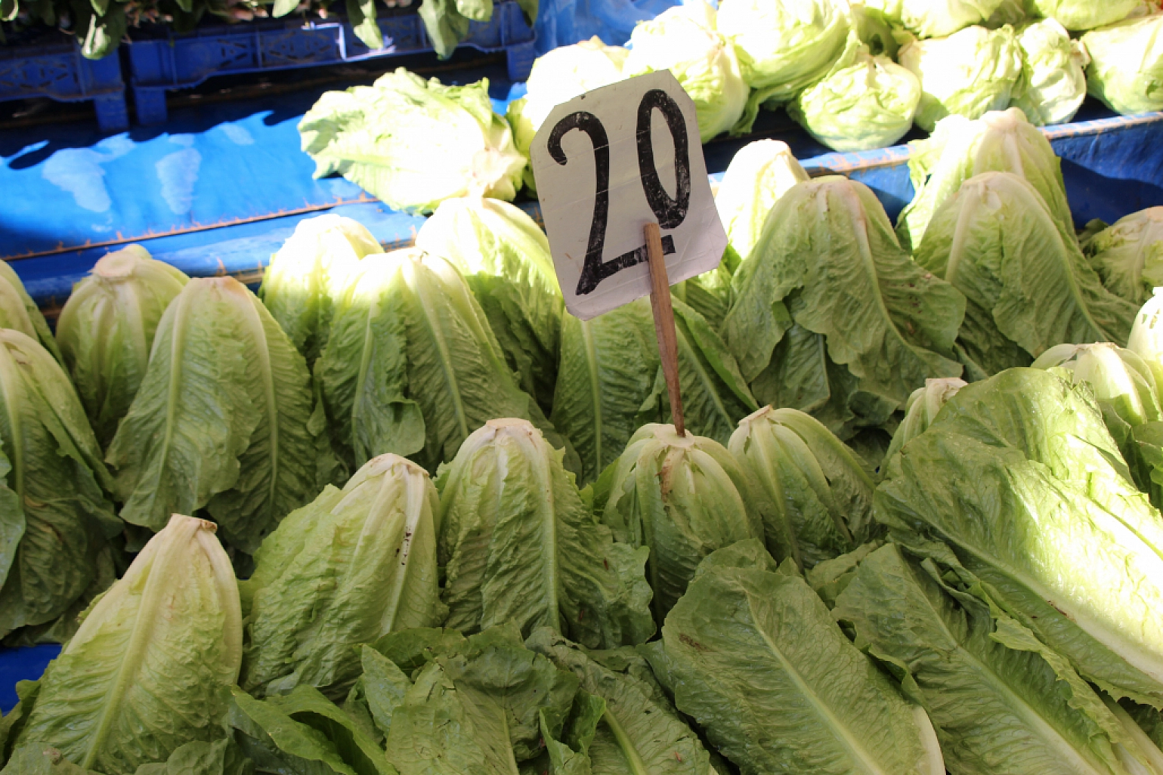 Malatya'da pazar, fiyatları düşüyor mu? İşte fiyatlar...