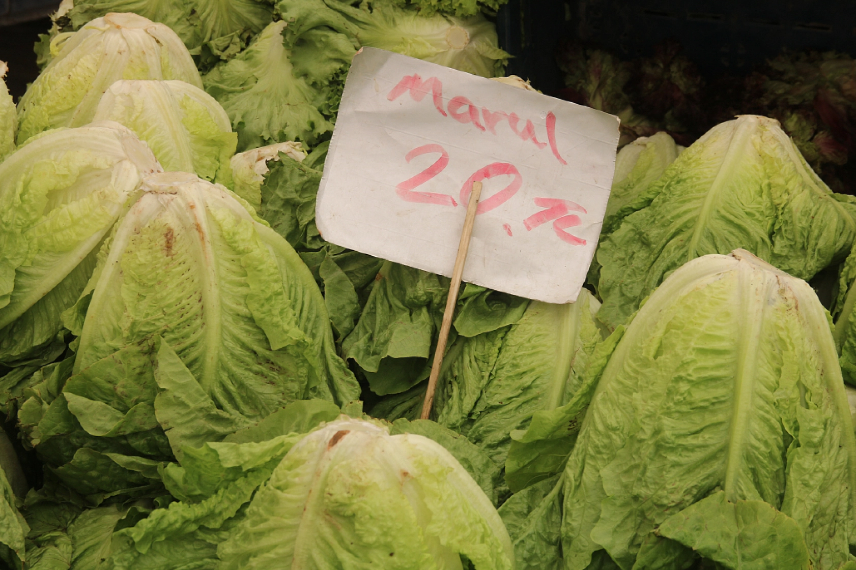 Malatya'da pazar, fiyatları düşüyor mu? İşte cuma fiyatlar...