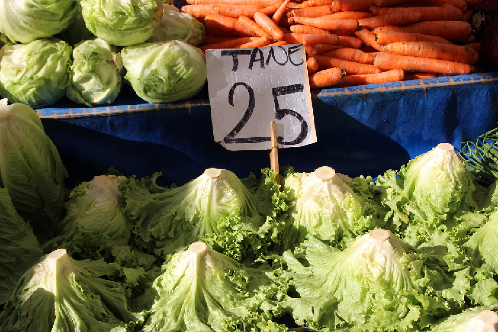 Malatya'da pazar, fiyatları düşüyor mu? İşte fiyatlar...