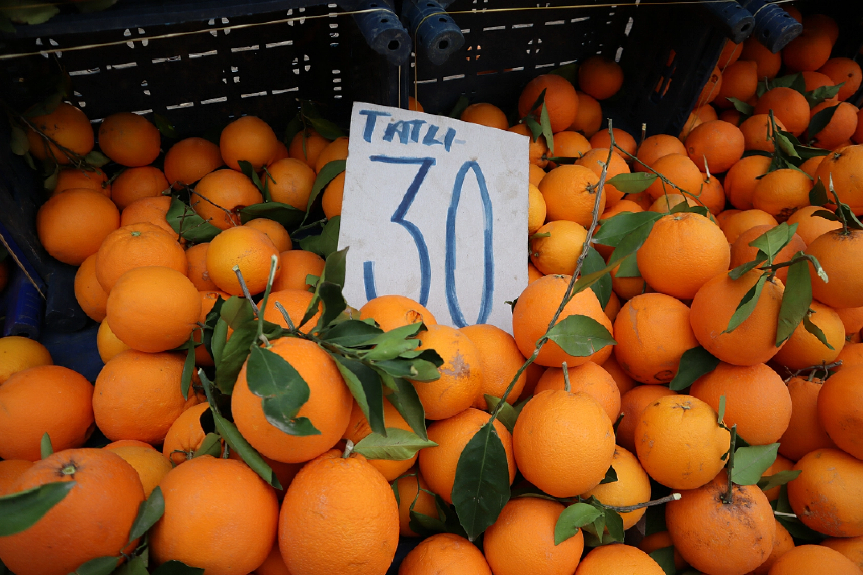 Pazarda 'tane' dönemi başlıyor! Kilosu cep yaktı!