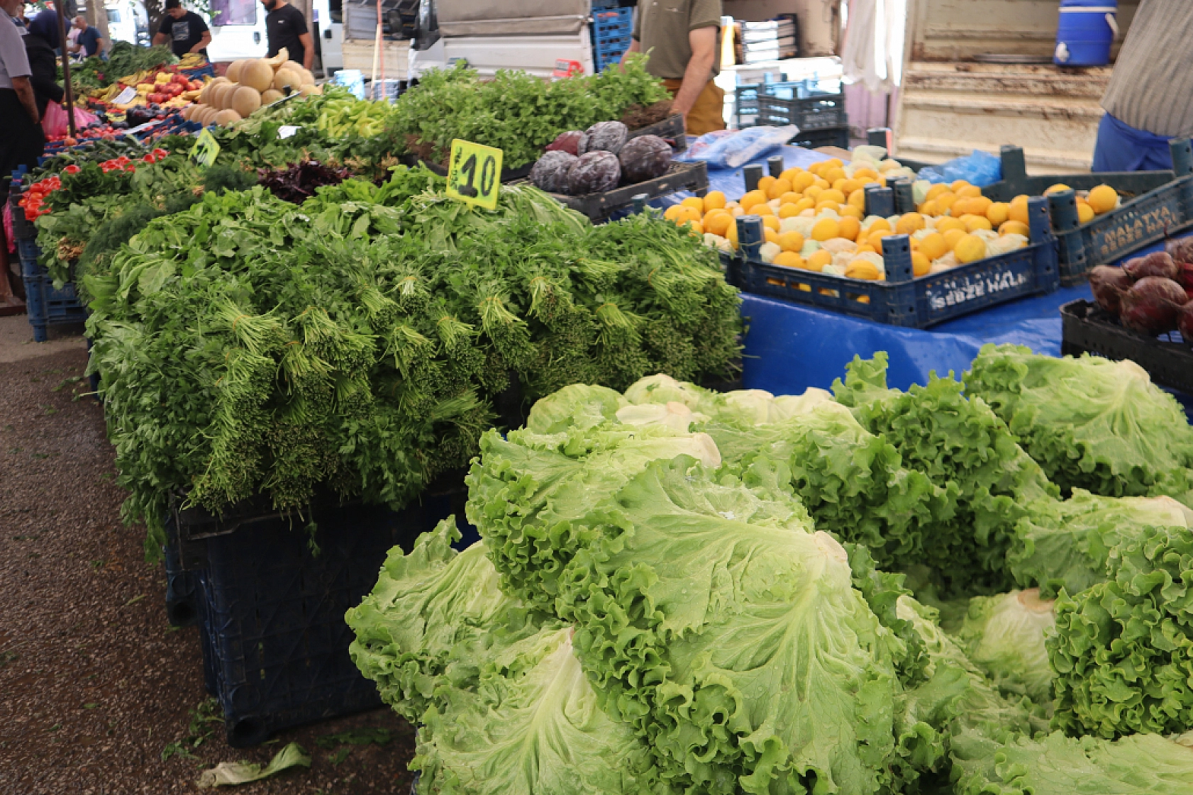 Malatya'da pazar tezgahlarında fiyat tersine döndü: Domates 30 lira, kiraz 250 lira!