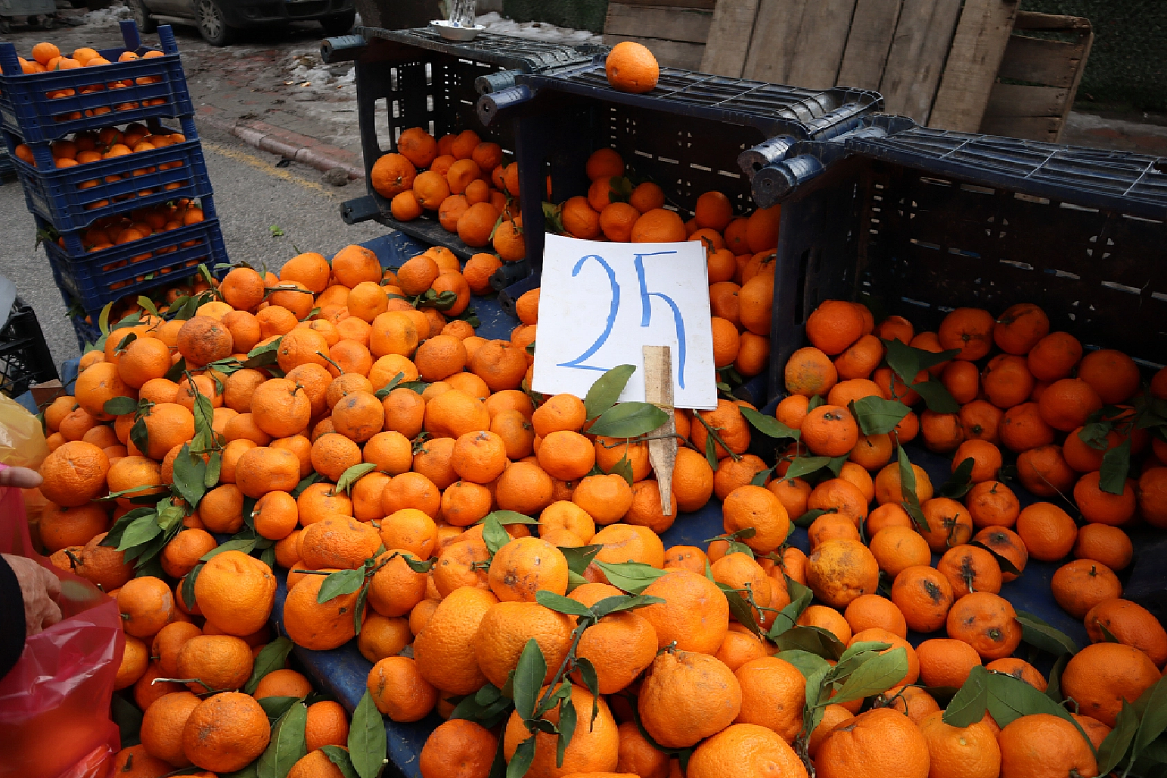 Pazarda 'tane' dönemi başlıyor! Kilosu cep yaktı!