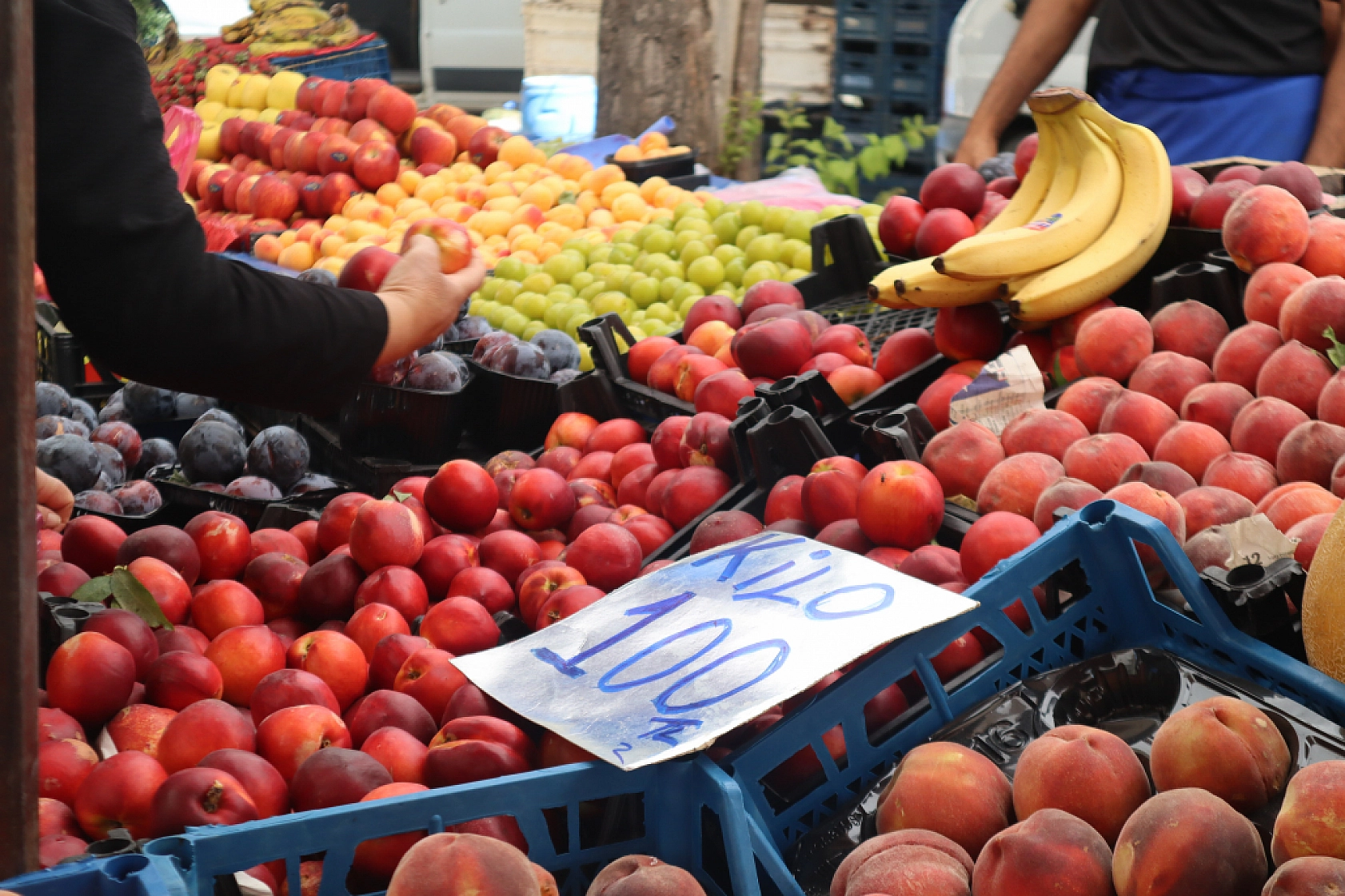 Malatya'da pazar tezgahlarında fiyat tersine döndü: Domates 30 lira, kiraz 250 lira!