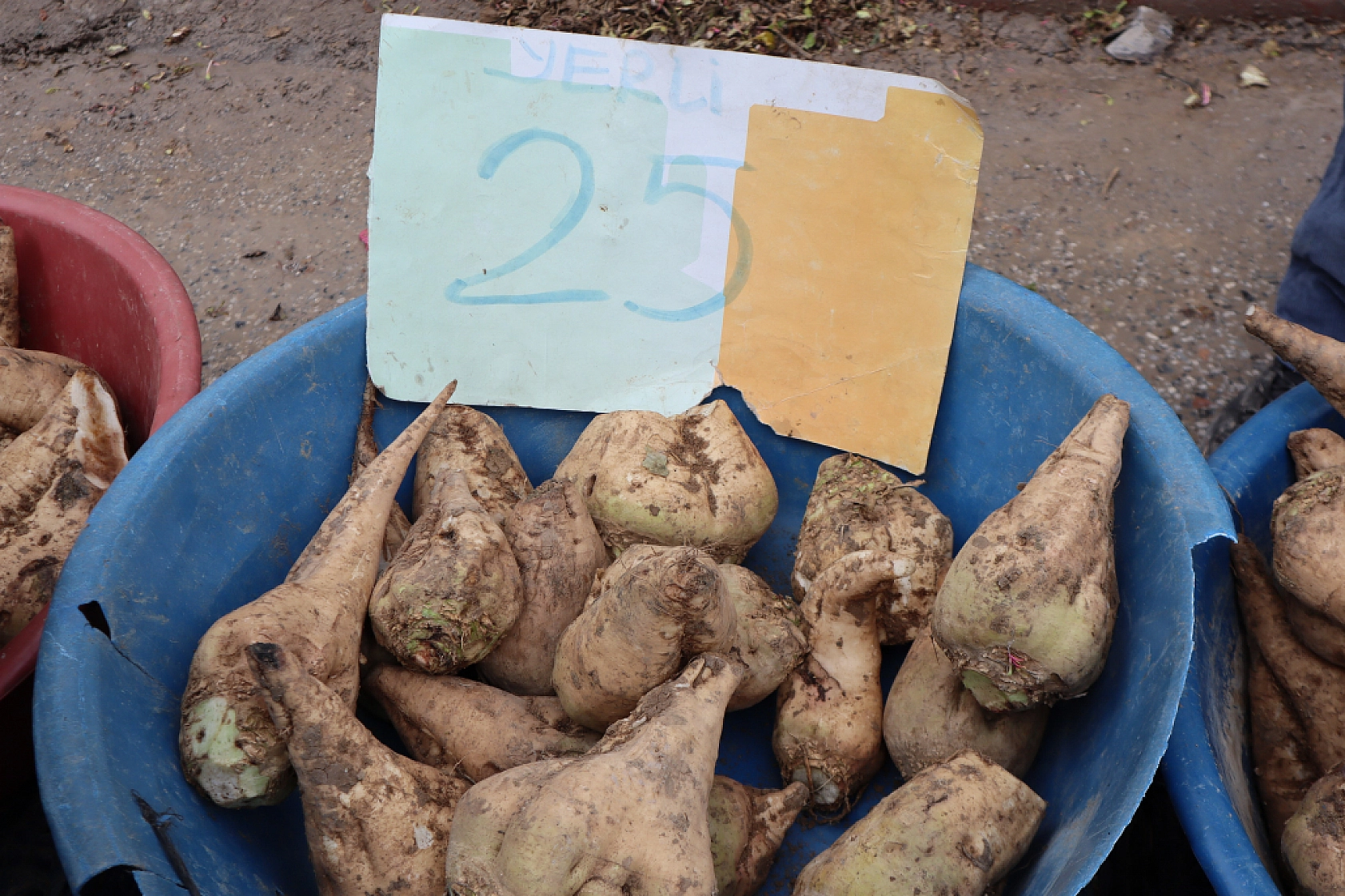 Pazarda 'tane' dönemi başlıyor! Kilosu cep yaktı!