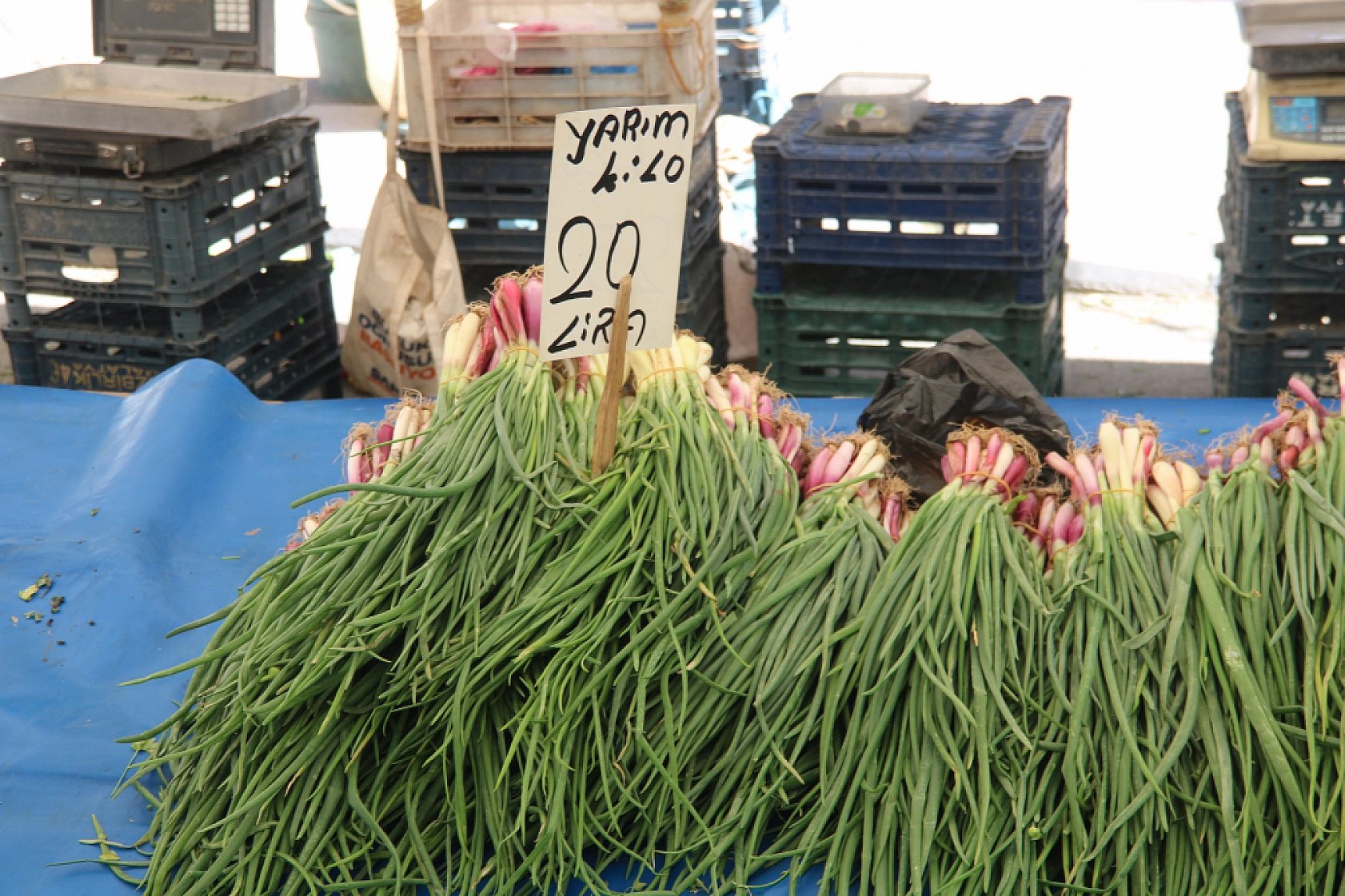 Malatya'da pazar, fiyatları düşüyor mu? İşte cuma fiyatlar...