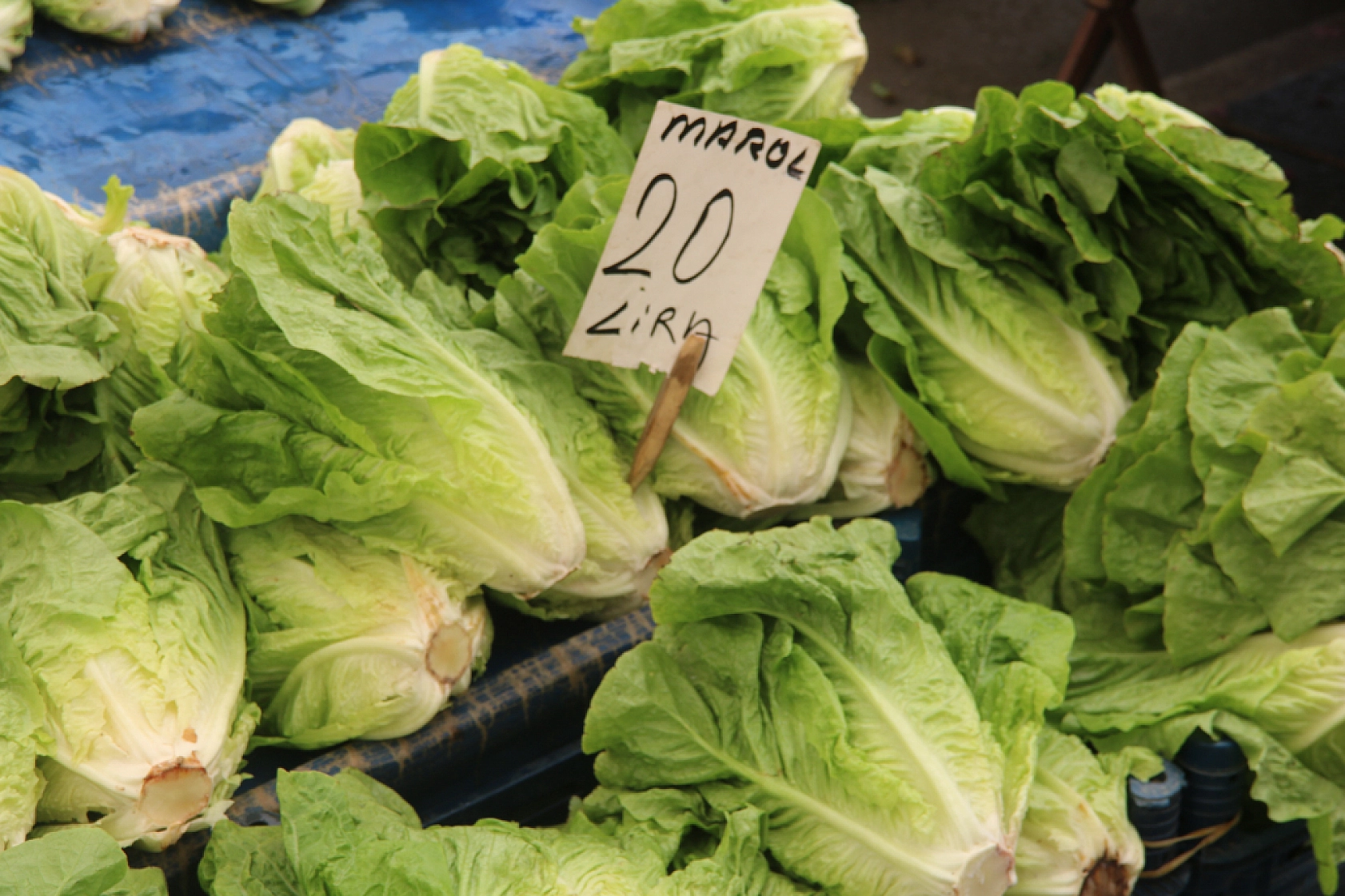 Malatya'da pazar, fiyatları düşüyor mu? İşte cuma fiyatlar...