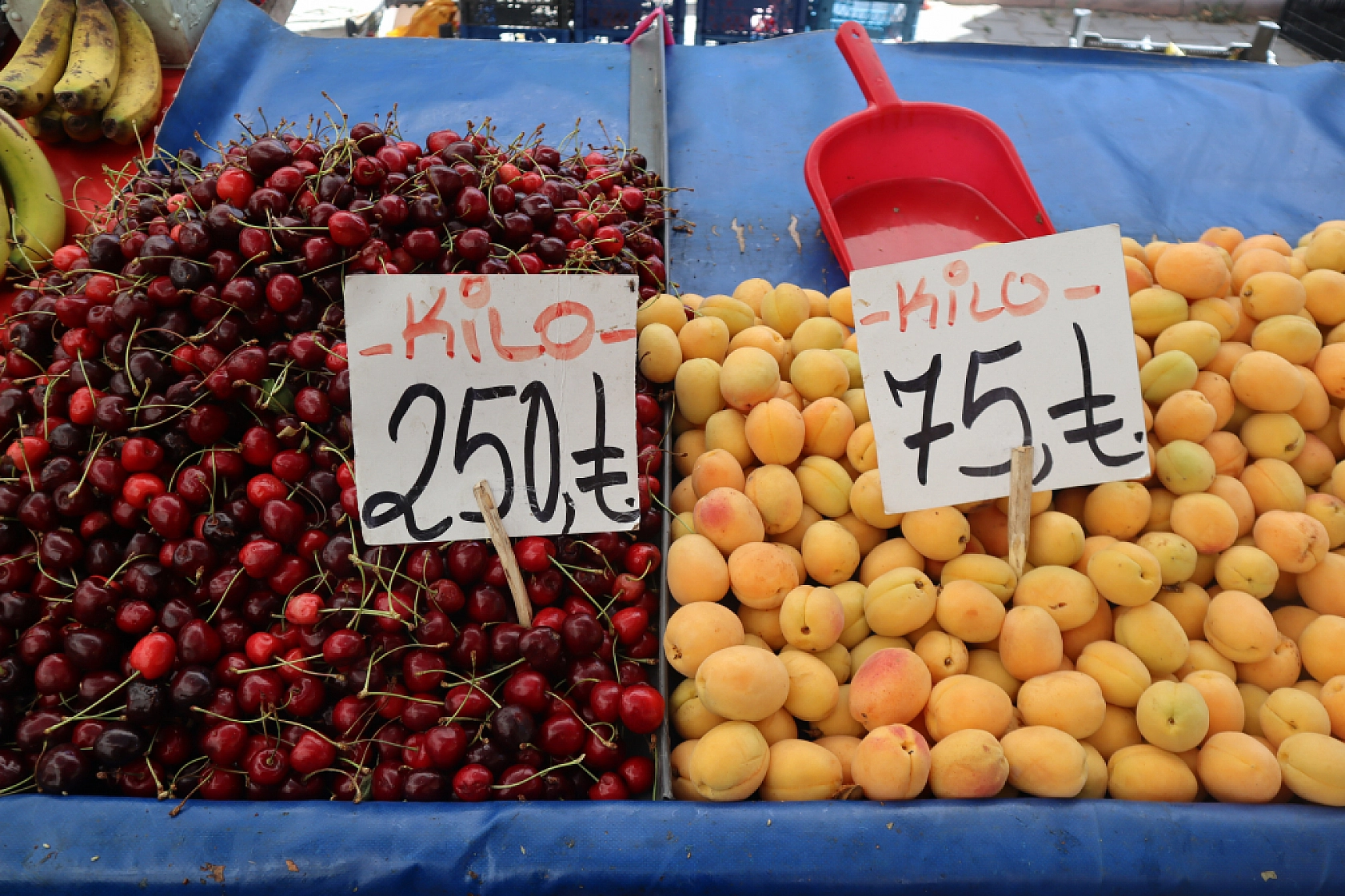 Malatya'da pazar tezgahlarında fiyat tersine döndü: Domates 30 lira, kiraz 250 lira!