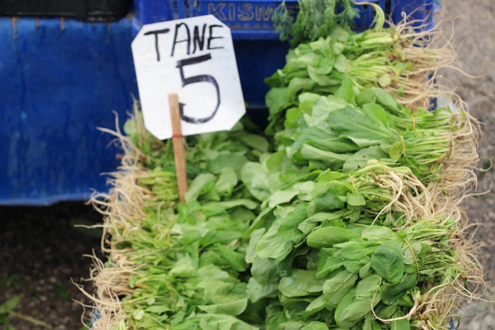 Malatya'da pazar, fiyatları düşüyor mu? İşte fiyatlar...