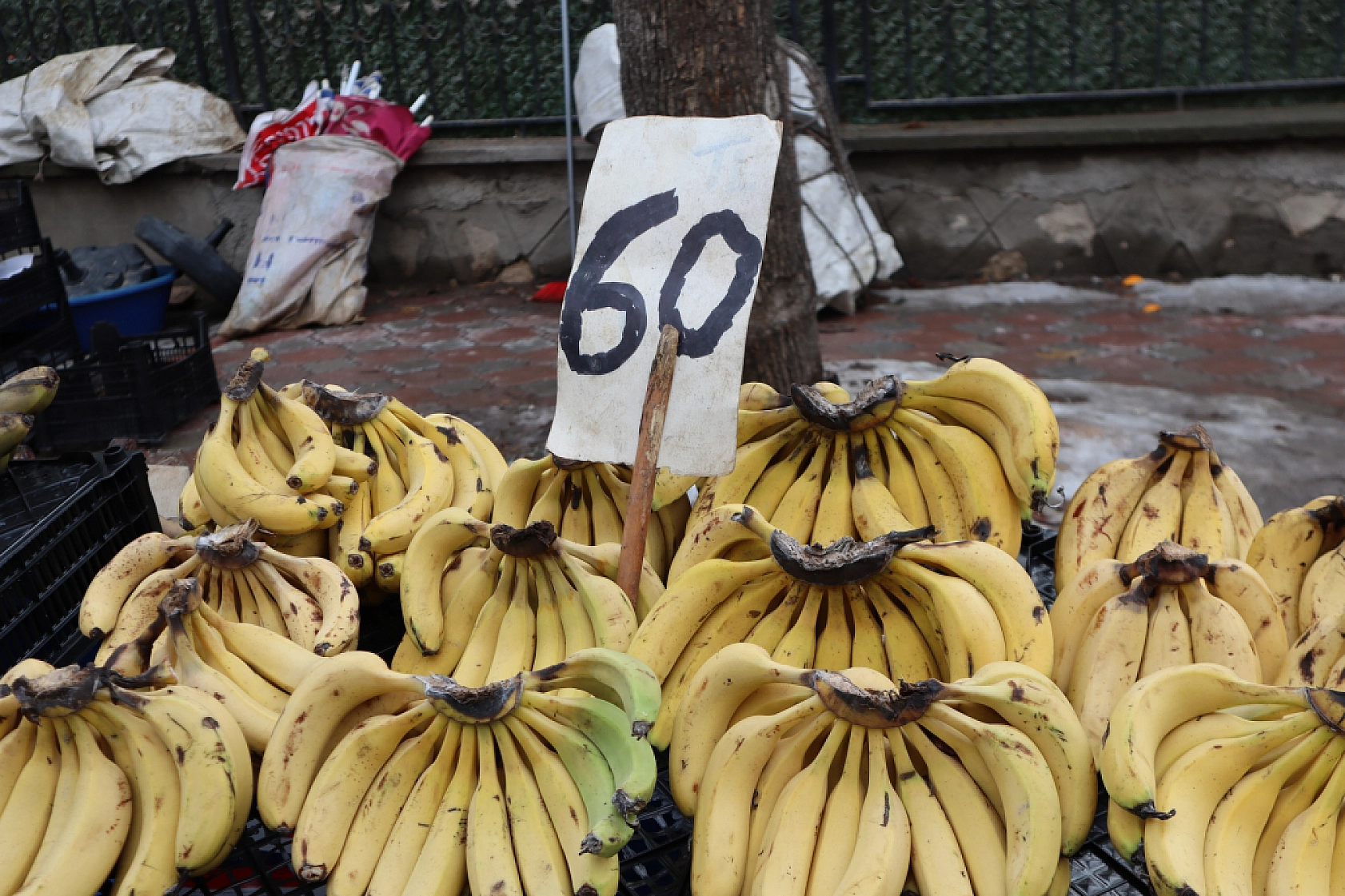 Pazarda 'tane' dönemi başlıyor! Kilosu cep yaktı!