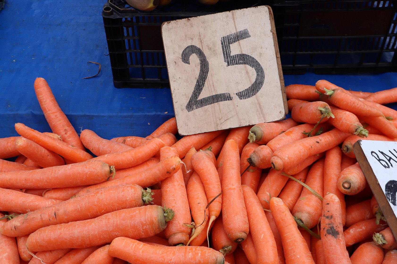 Pazarda 'tane' dönemi başlıyor! Kilosu cep yaktı!