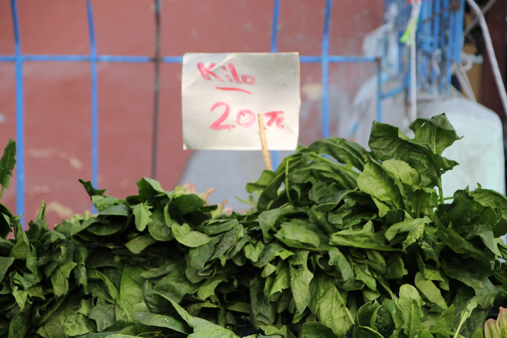 Malatya'da pazar, fiyatları düşüyor mu? İşte fiyatlar...