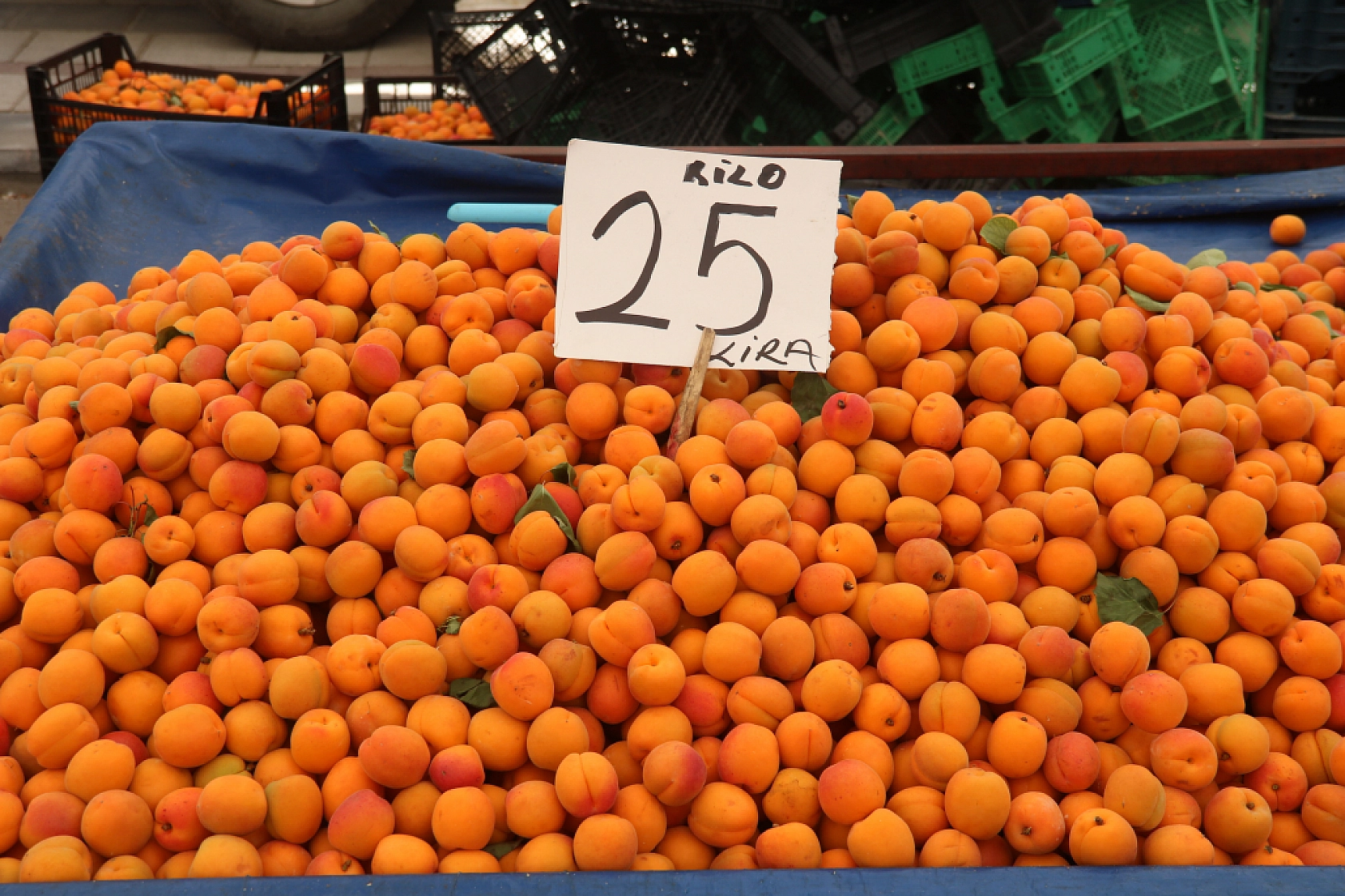 Malatya'da pazar, fiyatları düşüyor mu? İşte cuma fiyatlar...