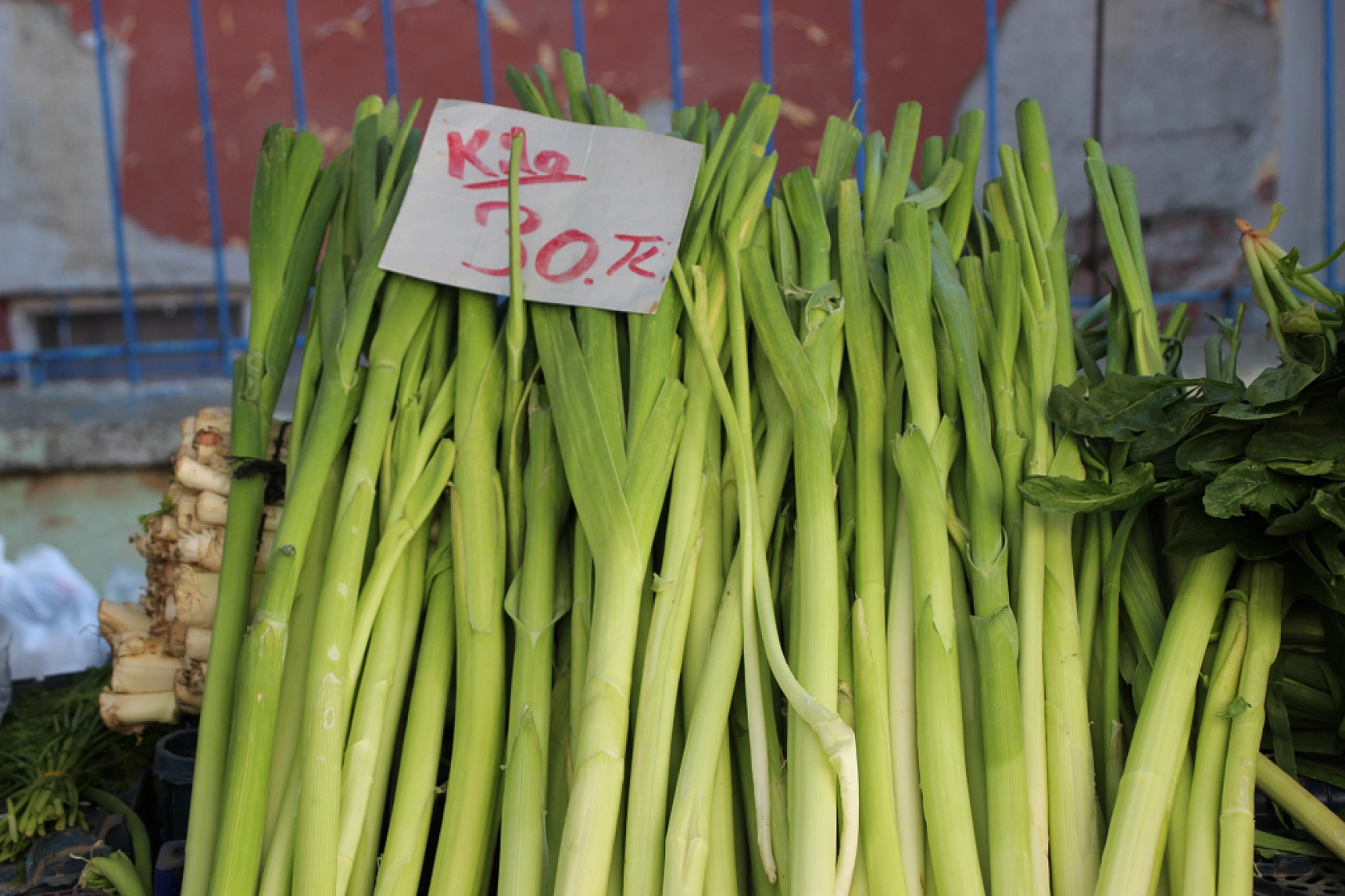 Malatya Perşembe Pazarı Güncel Fiyatlar!