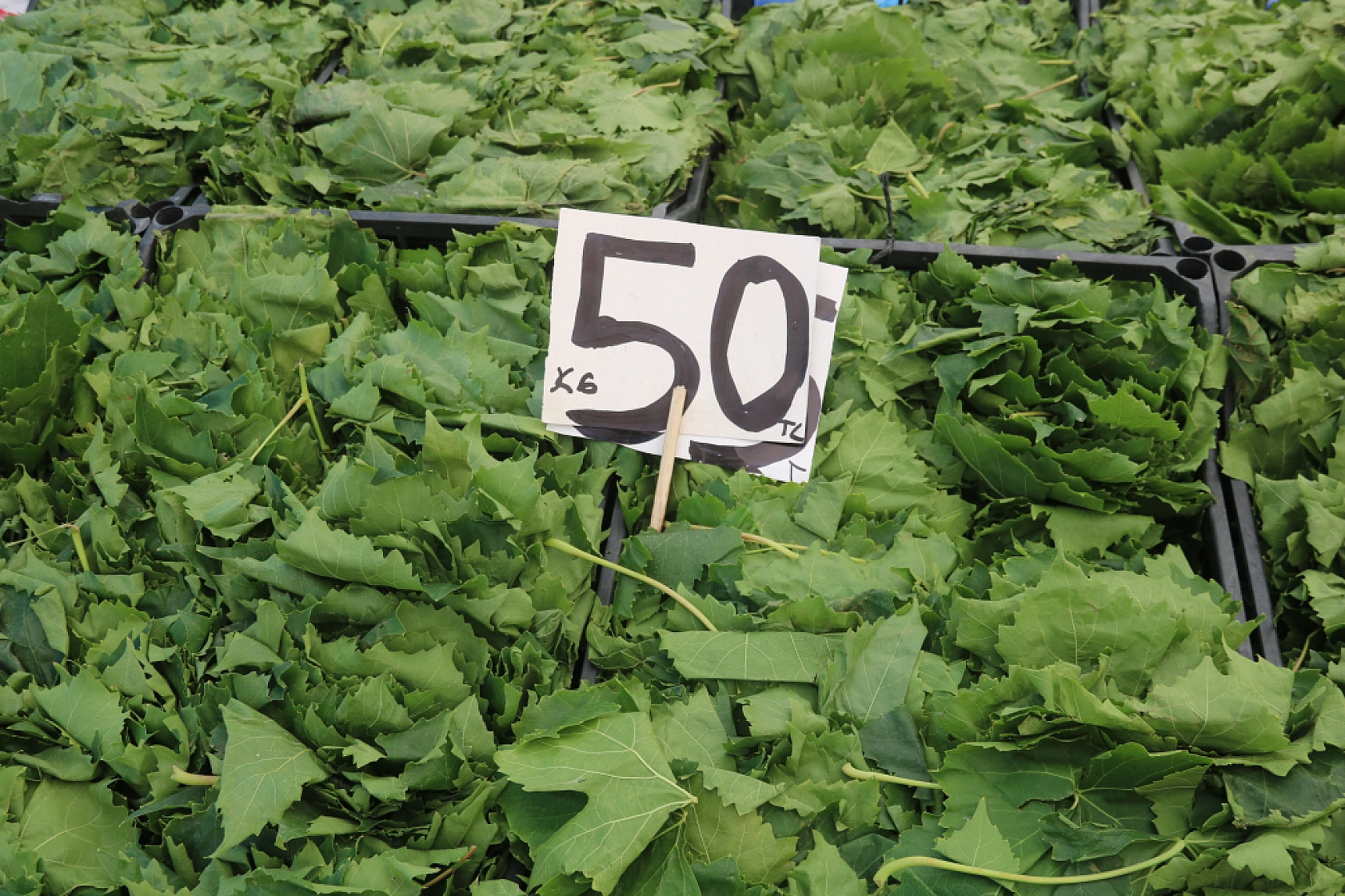 Malatya'da pazar, fiyatları düşüyor mu? İşte cuma fiyatlar...