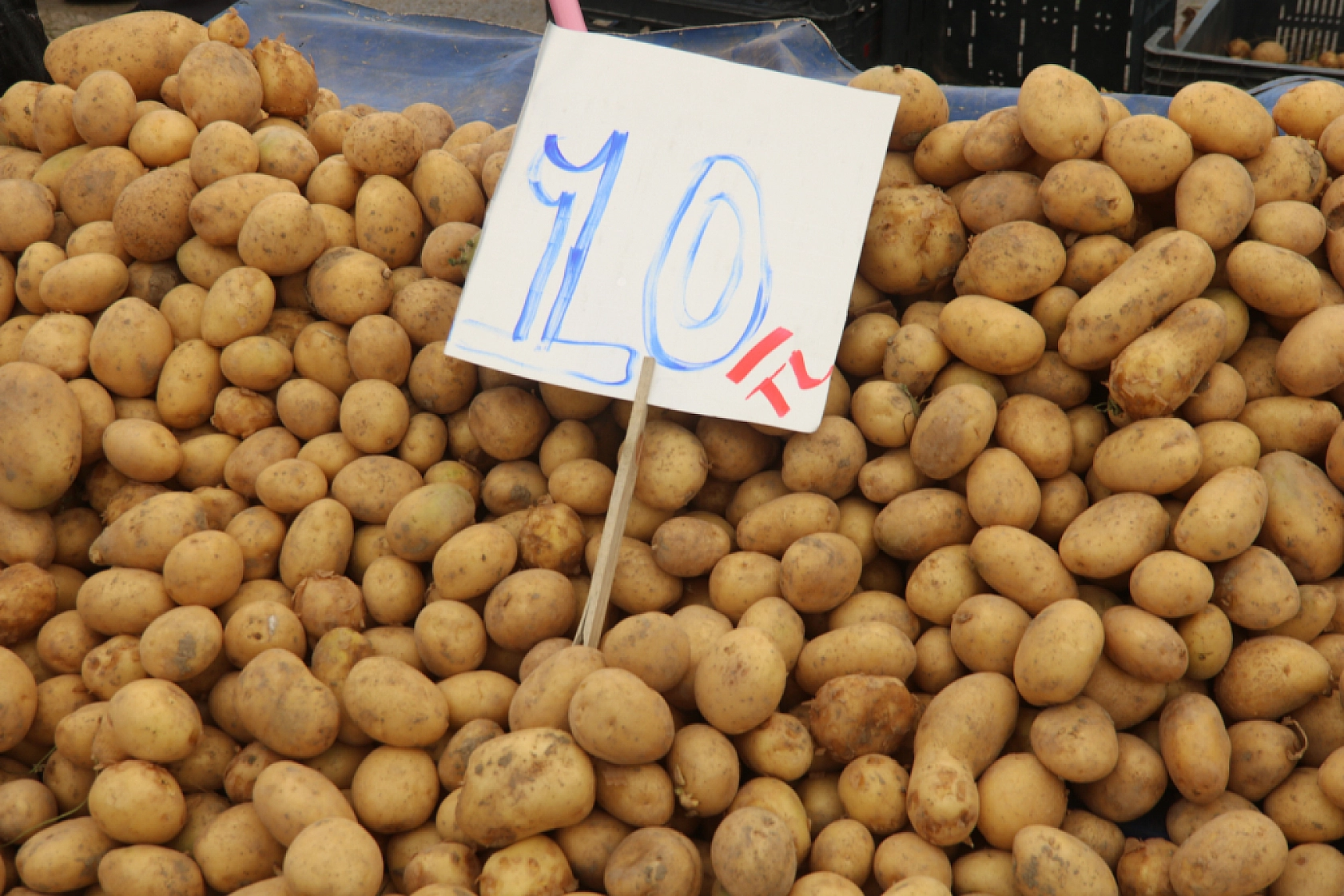 Malatya'da pazar, fiyatları düşüyor mu? İşte cuma fiyatlar...