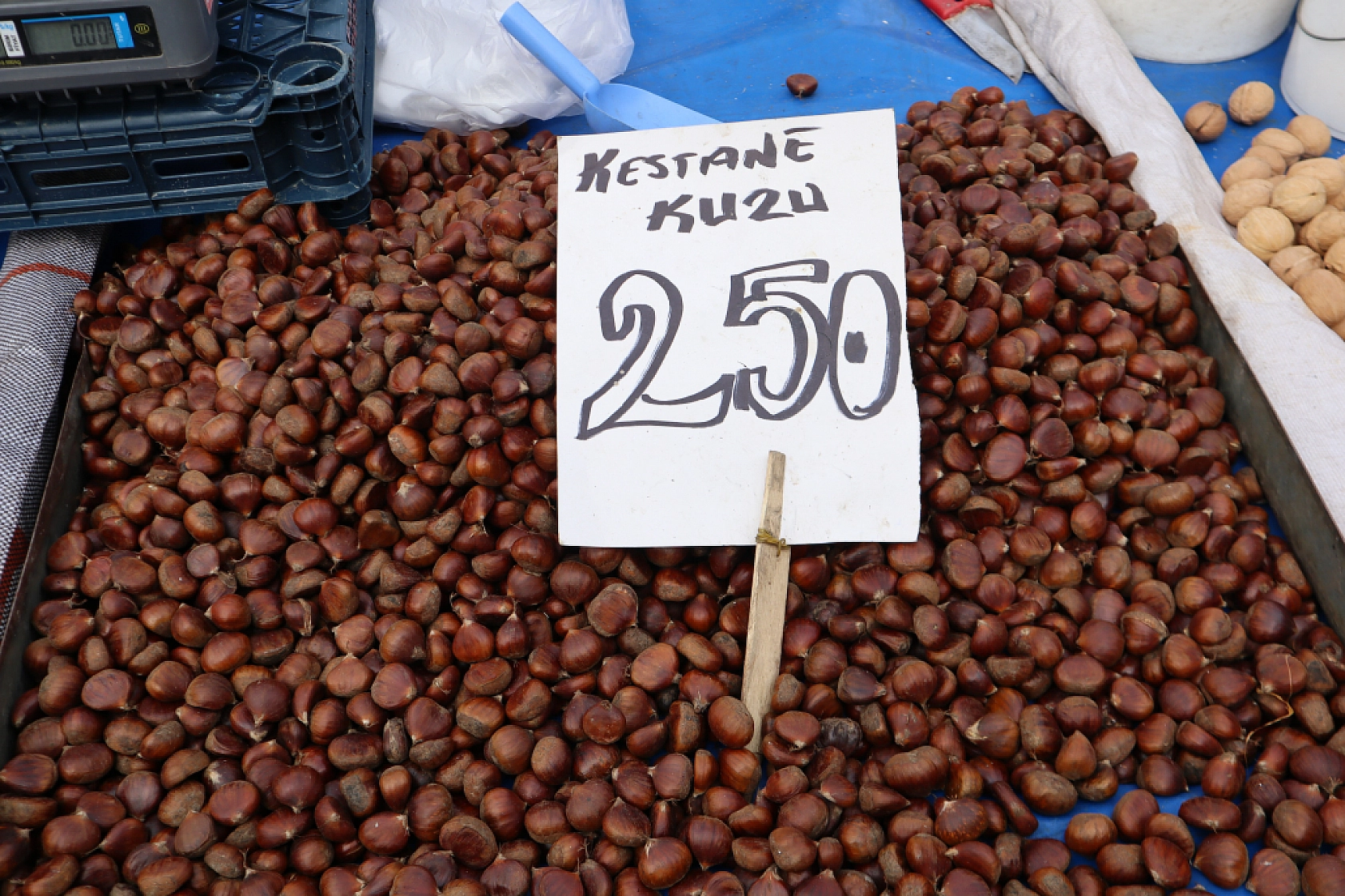 Pazarda 'tane' dönemi başlıyor! Kilosu cep yaktı!