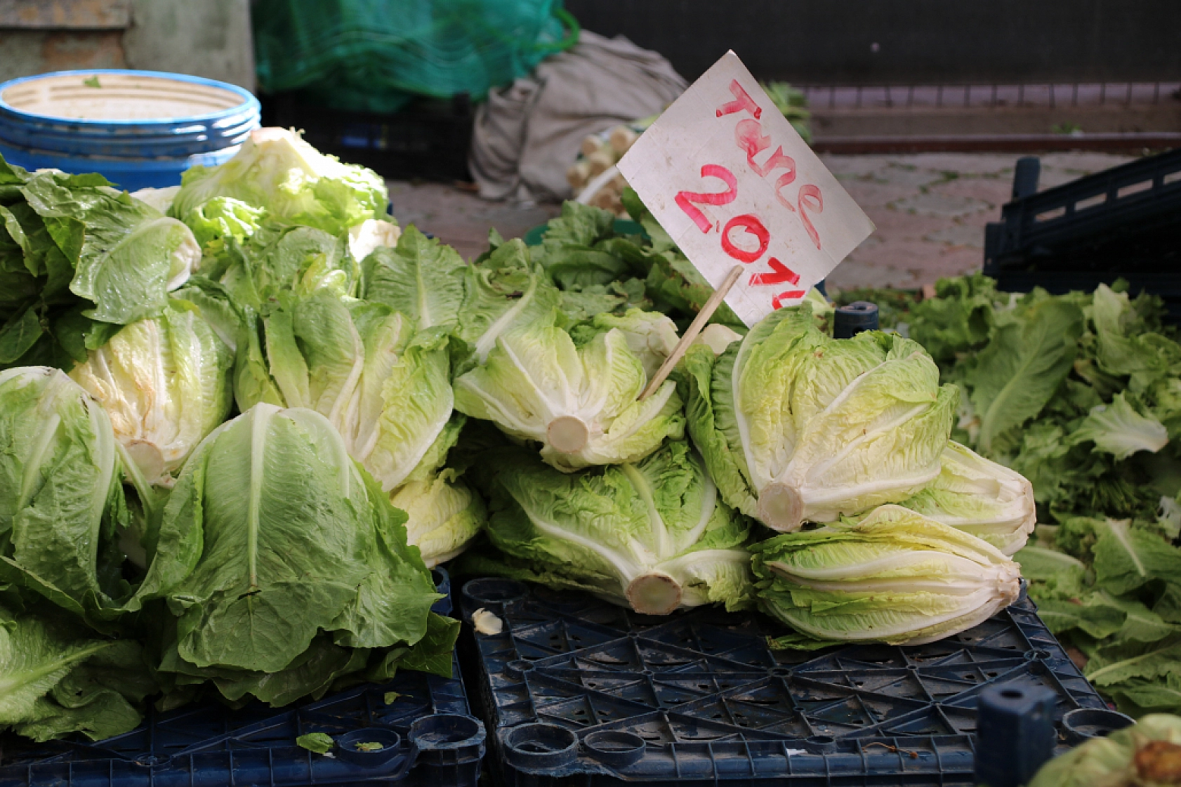 Malatya'da pazar, yazdan ucuz! İşte fiyatlar...