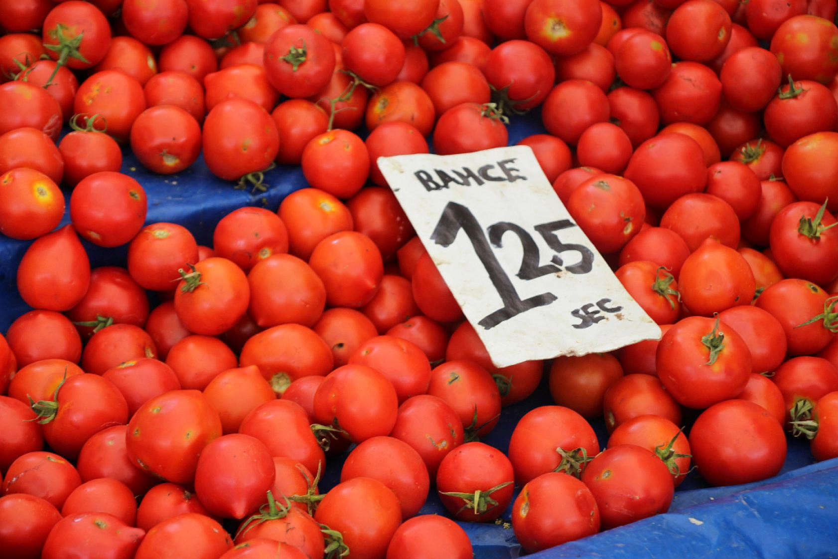 Malatya Perşembe Pazarı Güncel Fiyatlar!