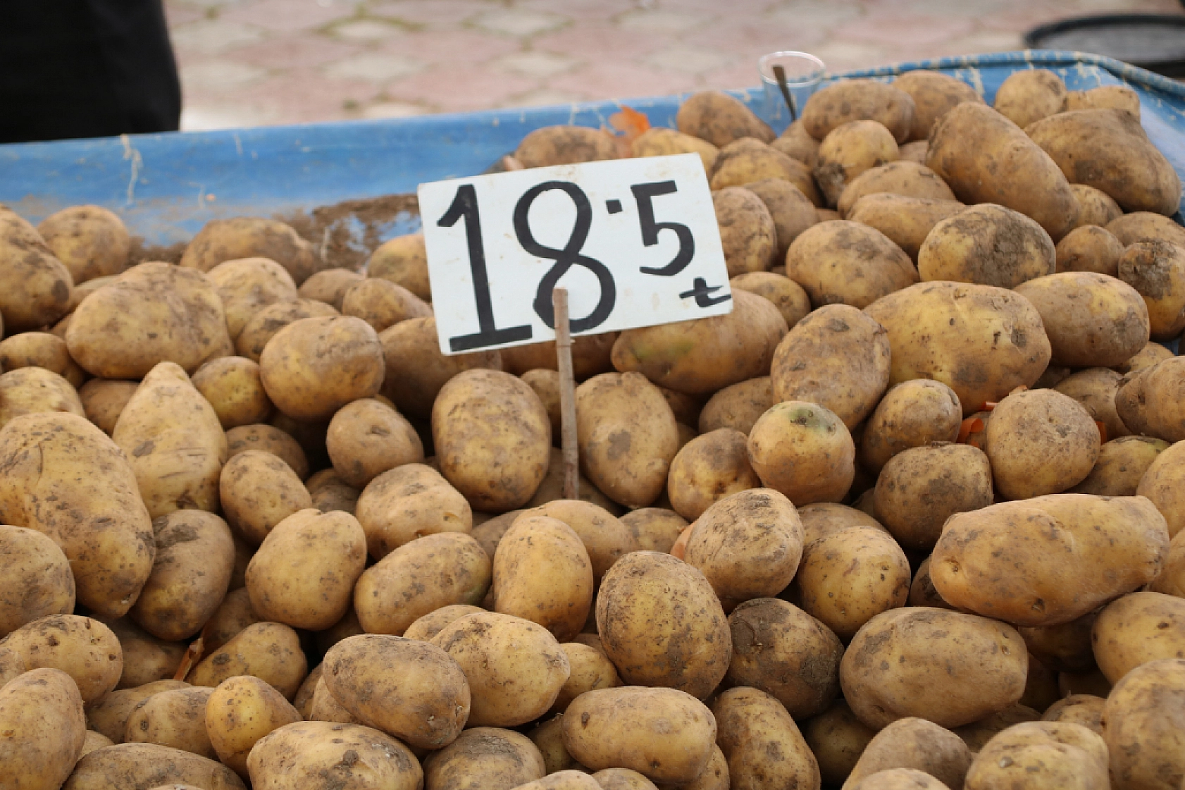 Malatya'da pazar, yazdan ucuz! İşte fiyatlar...