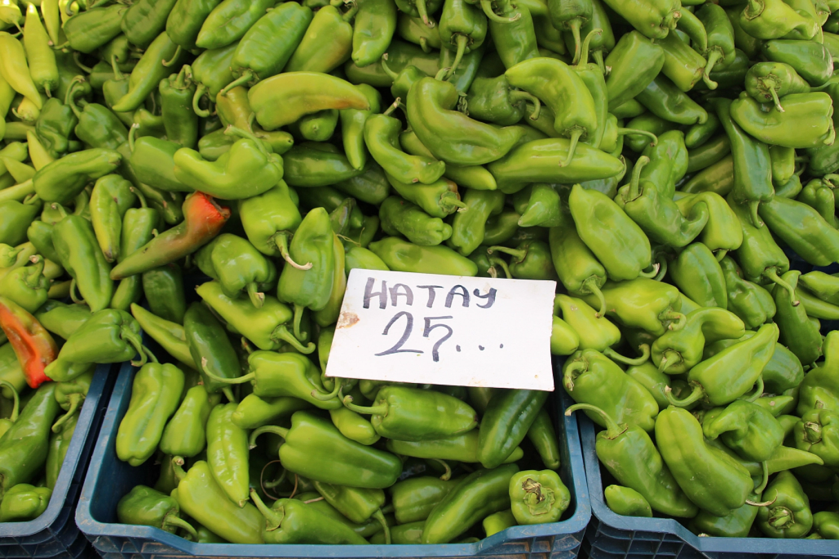 Malatya Perşembe Pazarı Güncel Fiyatlar!