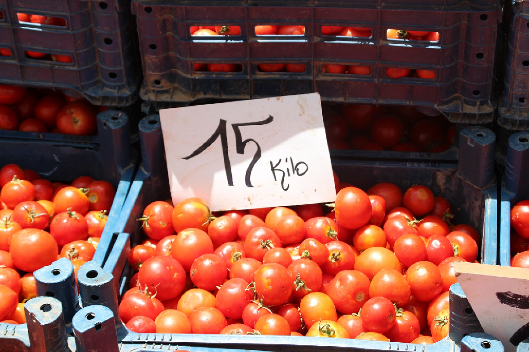 Malatya Perşembe Pazarı Güncel Fiyatlar!