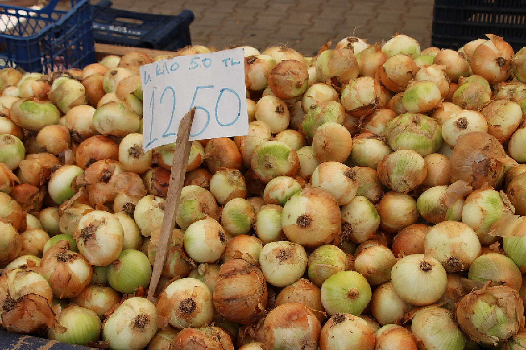 Malatya Perşembe Pazarı Güncel Fiyatlar!