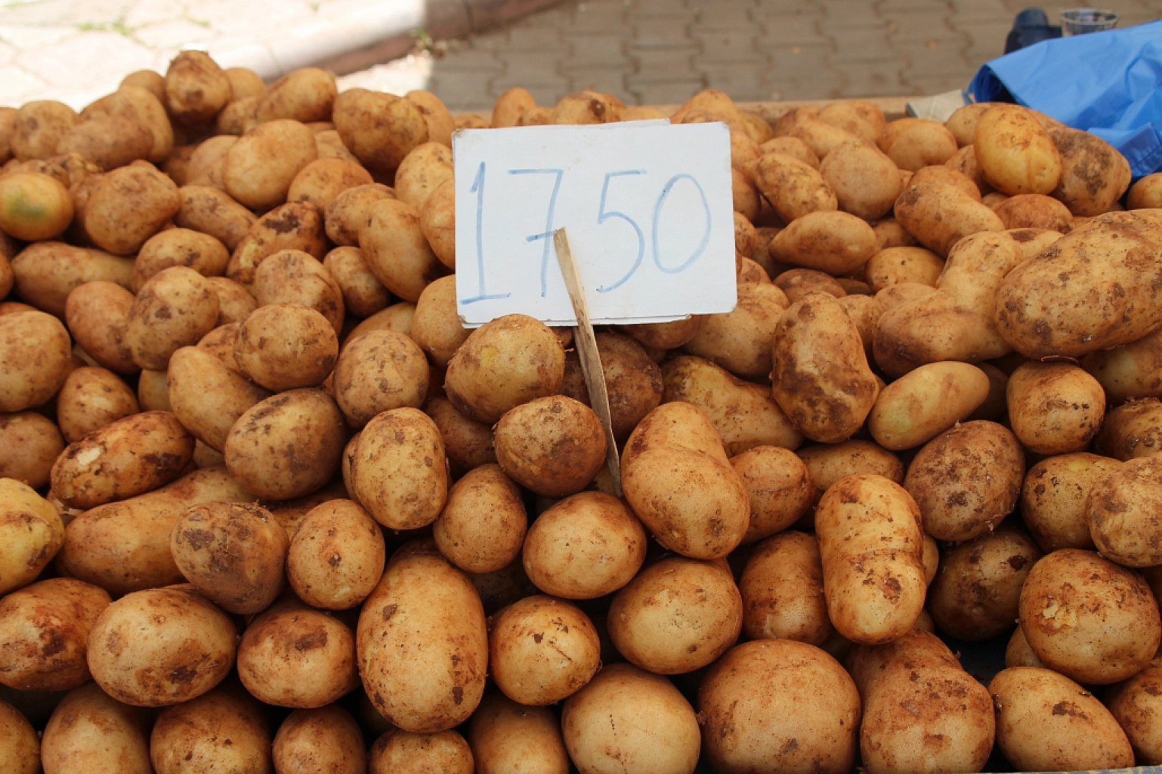 Malatya Perşembe Pazarı Güncel Fiyatlar!
