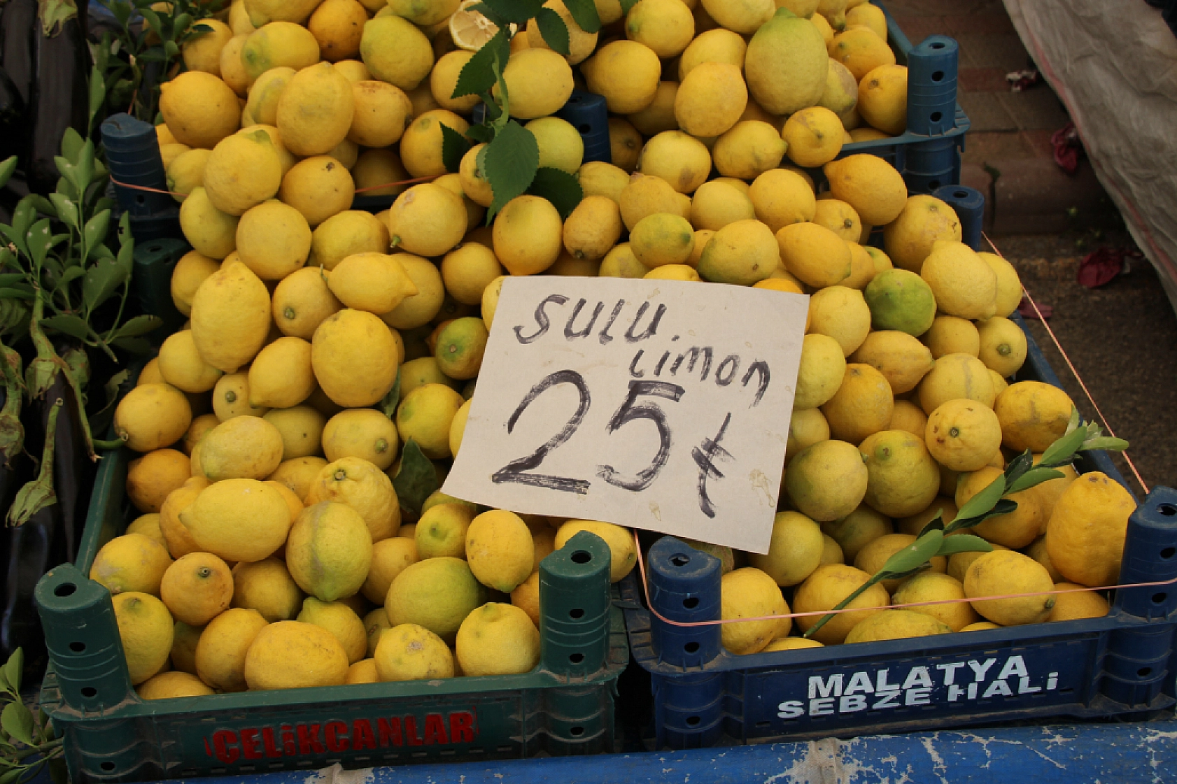 Malatya Perşembe Pazarı Güncel Fiyatlar!