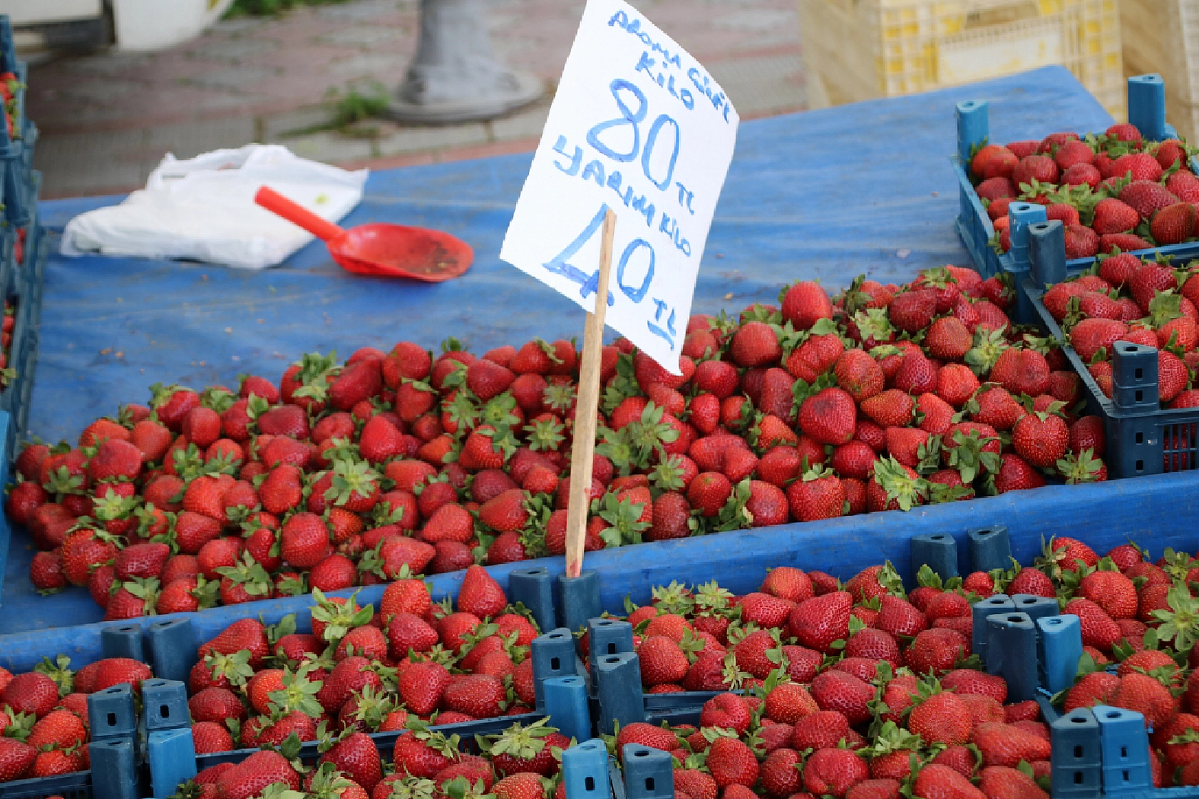 Malatya'da pazar, yazdan ucuz! İşte fiyatlar...