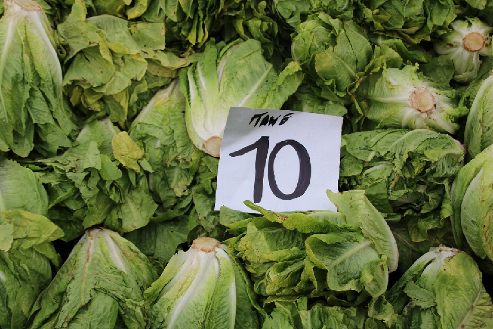 Malatya'da pazar, yazdan ucuz! İşte fiyatlar...