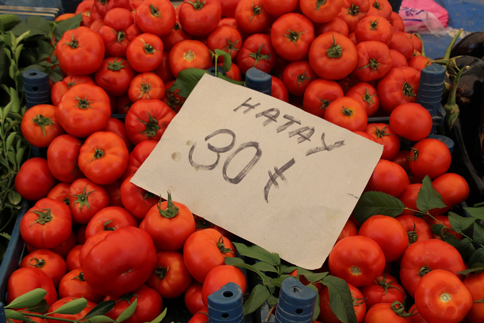 Malatya Perşembe Pazarı Güncel Fiyatlar!