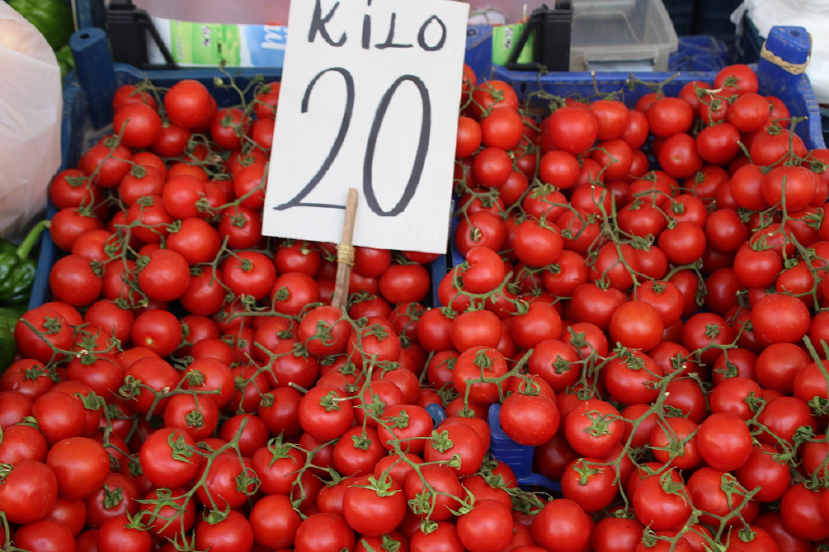 Malatya Perşembe Pazarı Güncel Fiyatlar!