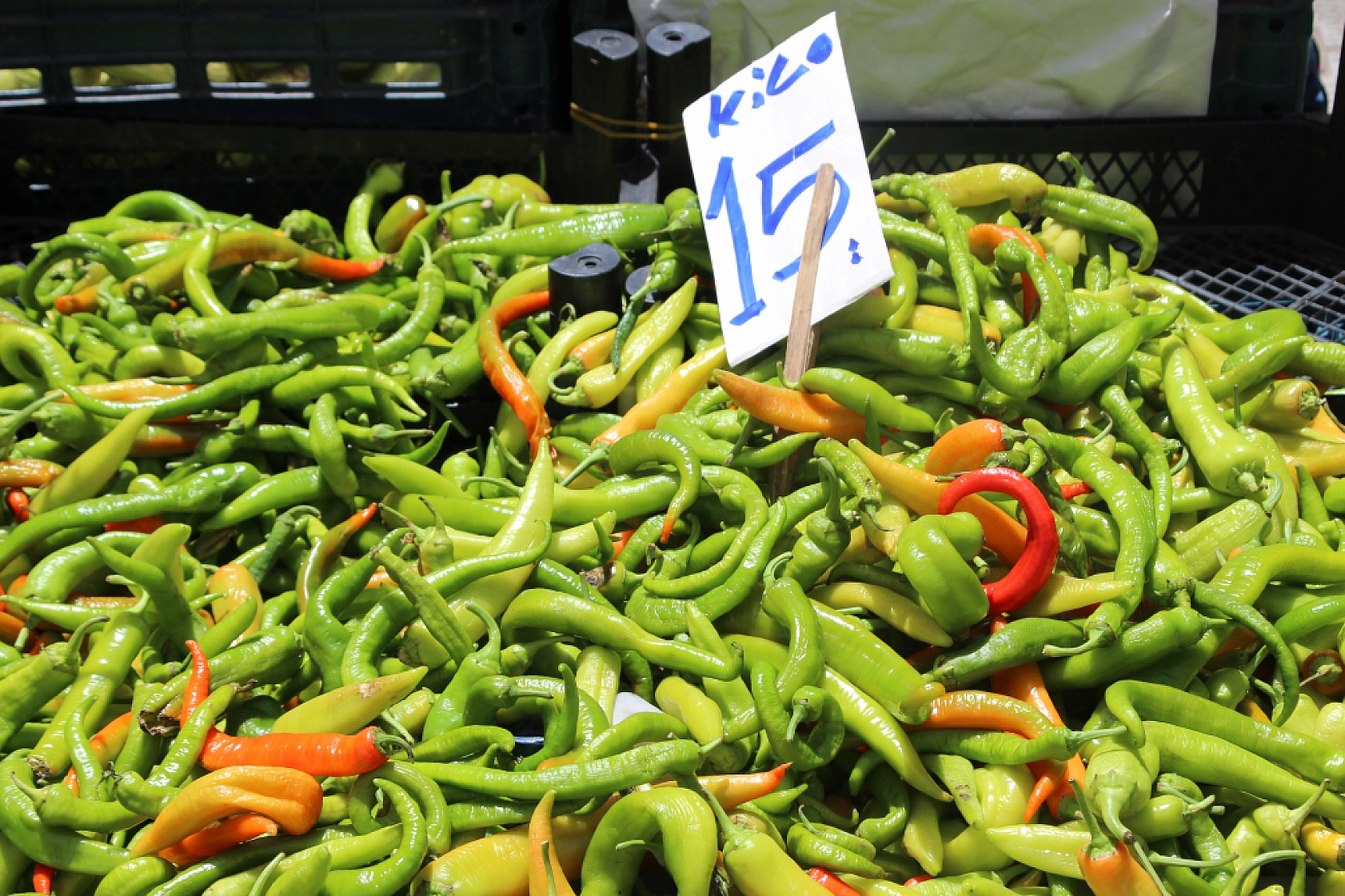Malatya Perşembe Pazarı Güncel Fiyatlar!