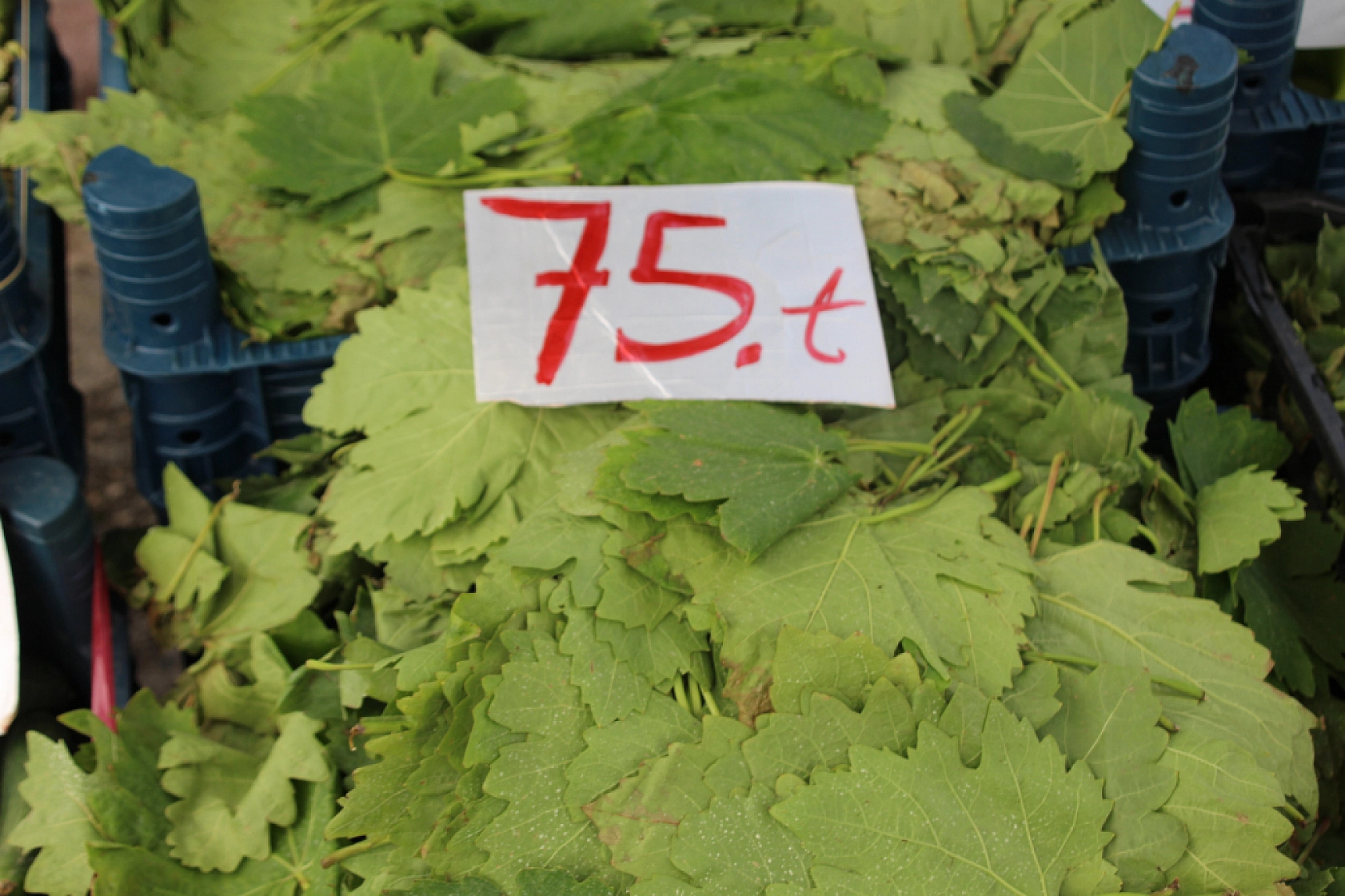 Malatya Perşembe Pazarı Güncel Fiyatlar!