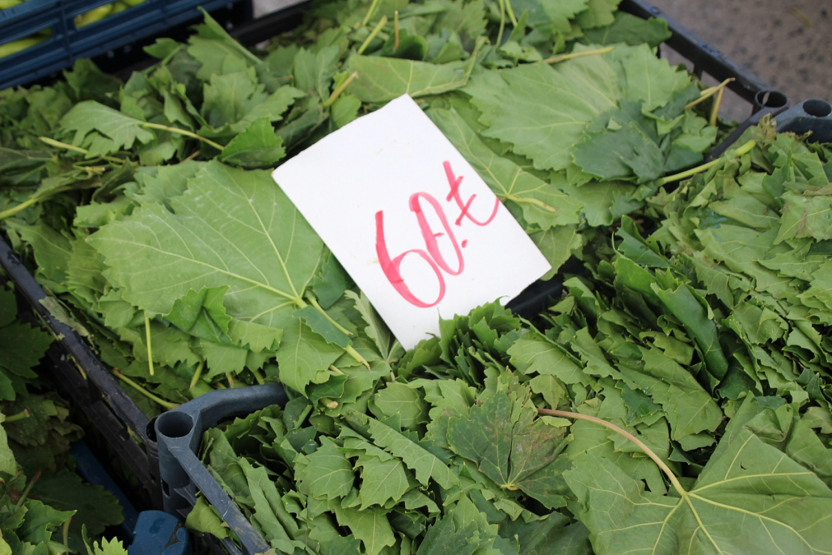 Malatya Perşembe Pazarı Güncel Fiyatlar!