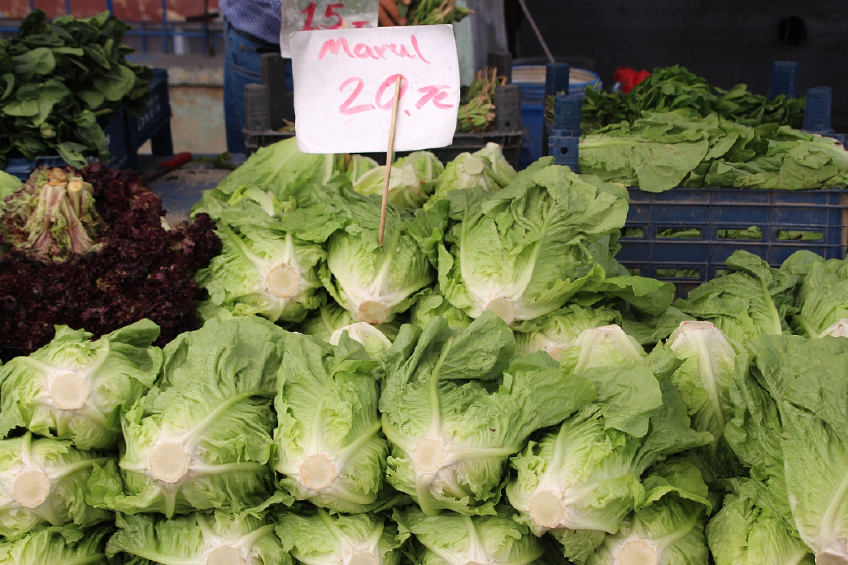 Malatya Perşembe Pazarı Güncel Fiyatlar!