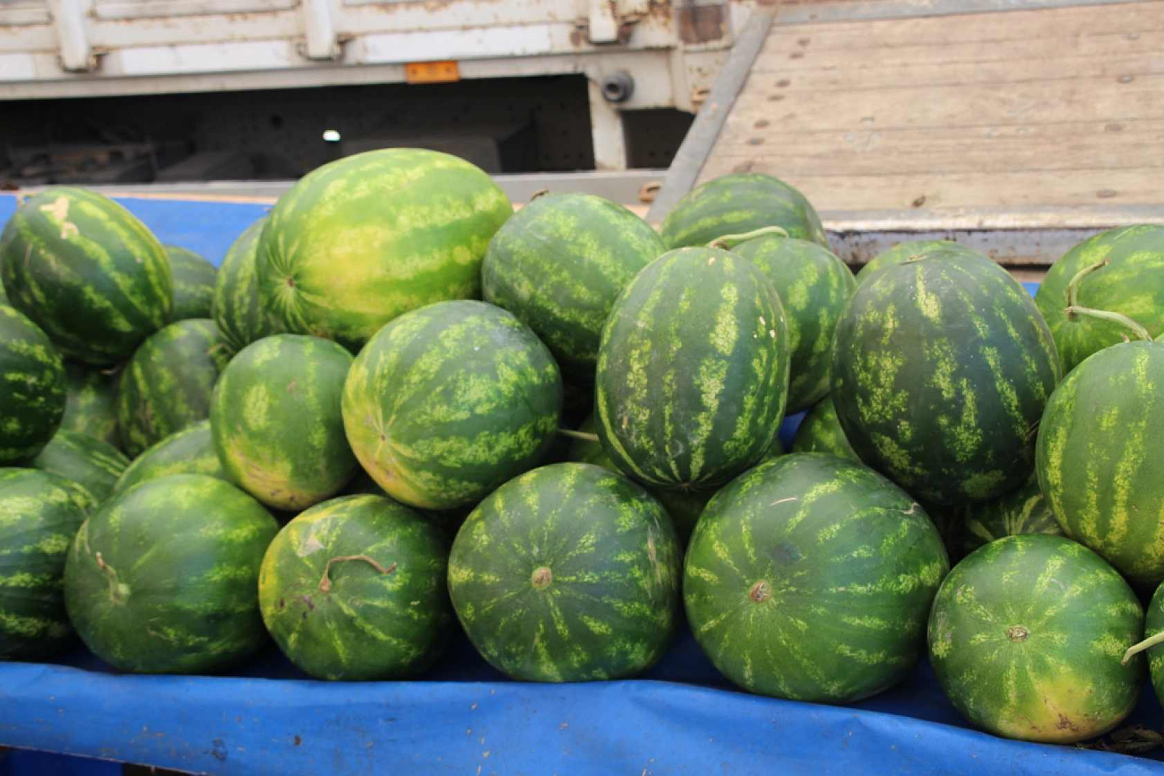 Malatya Perşembe Pazarı Güncel Fiyatlar!