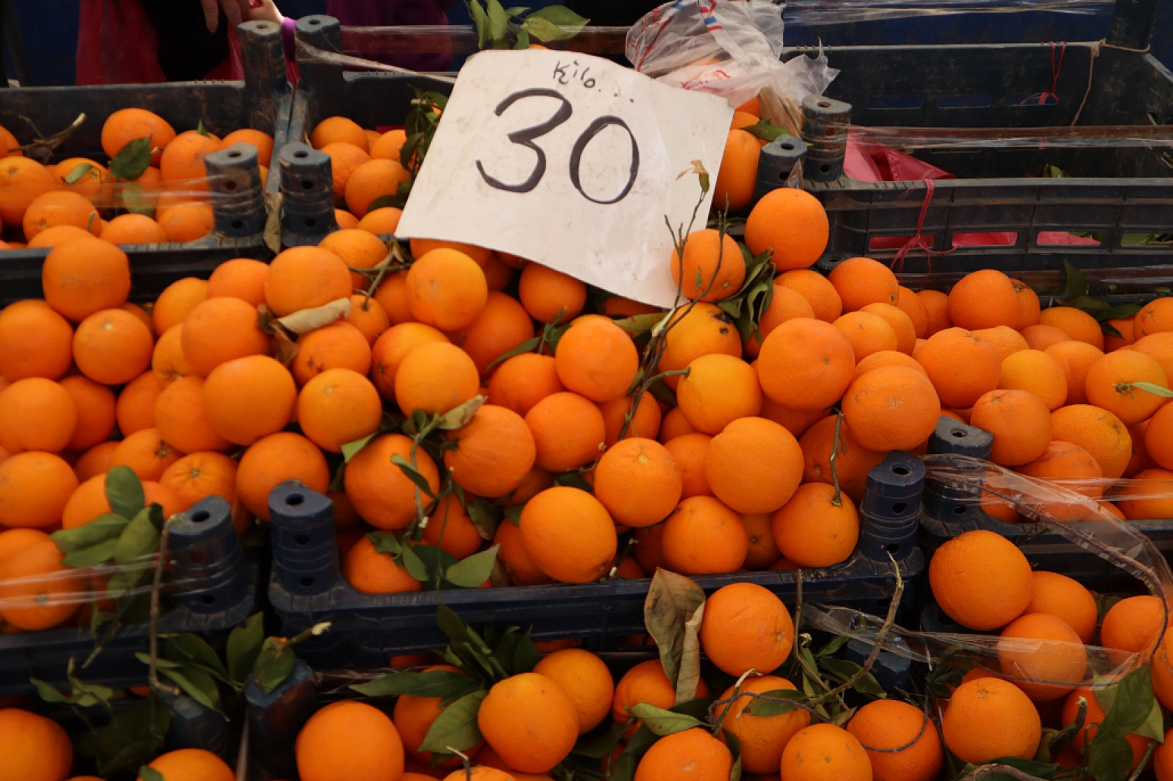 Bu hafta pazarda mor ve beyaz lahana zam şampiyonu oldu! İşte Güncel Meyve ve Sebze Fiyatları!