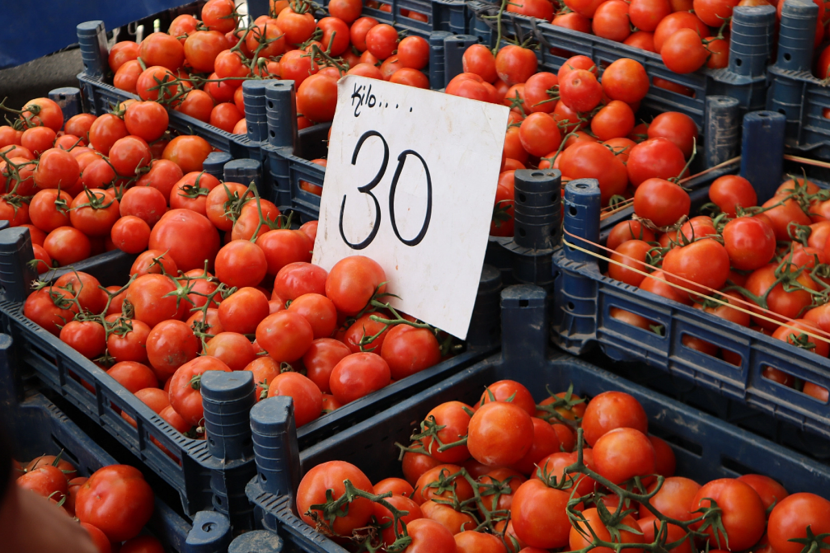 Bu hafta pazarda mor ve beyaz lahana zam şampiyonu oldu! İşte Güncel Meyve ve Sebze Fiyatları!