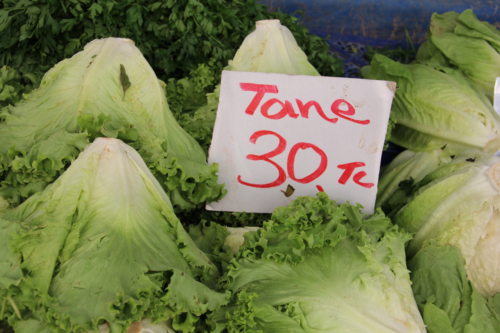 Cebini Düşünen Malatyalılar, Semt Pazarını Tercih Ediyor! İşte Güncel Perşembe Pazarı Fiyatları..