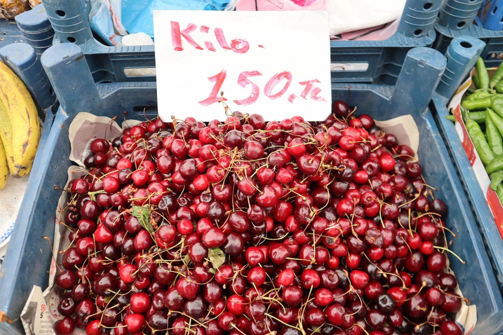 Malatya pazarlarında fiyatlar eriyor: Domates 30, salatalık 15 liraya düştü!